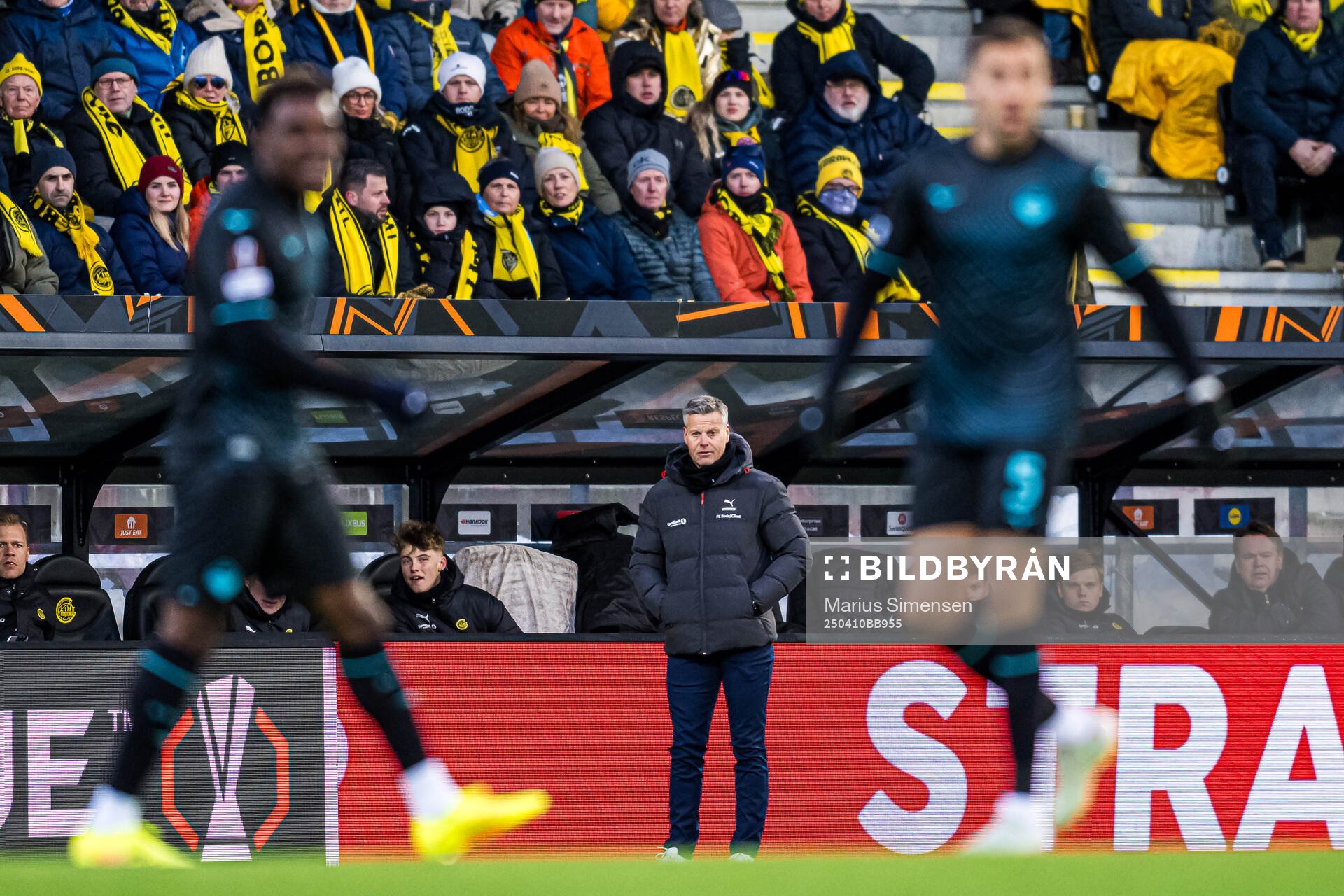 Kjetil Knutsen, head coach of Bodø/Glimt