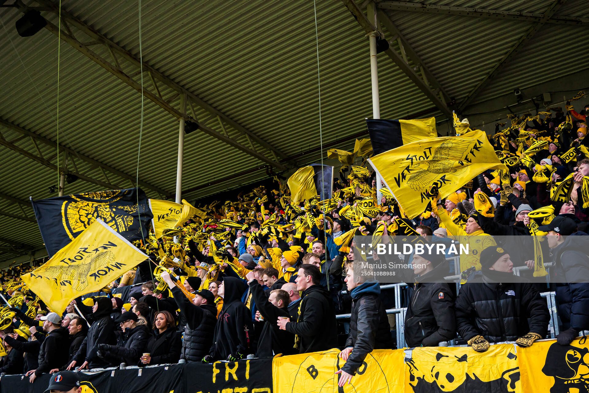 Spectators in the stands