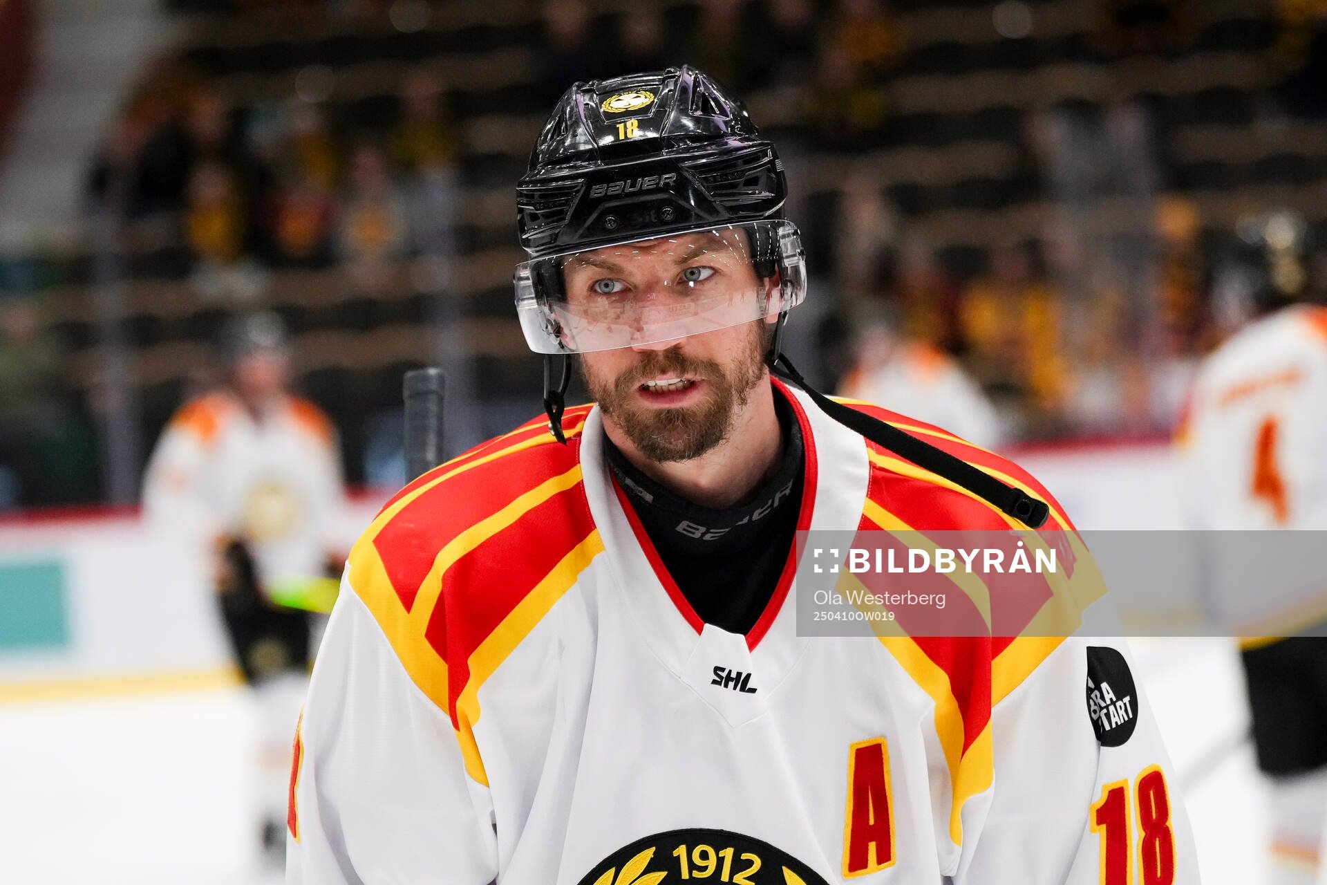 Brynäs Anton Rödin