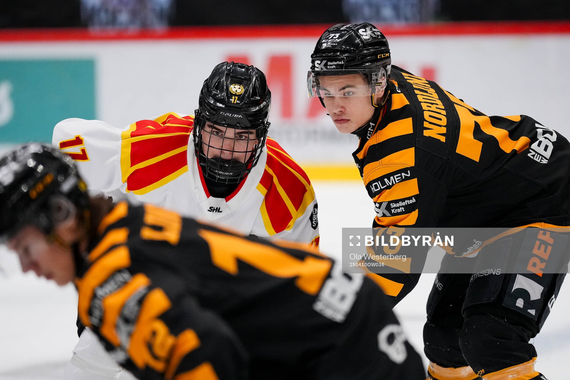 Brynäs Michal Svrcek och Skellefteås Viggo Nordlund