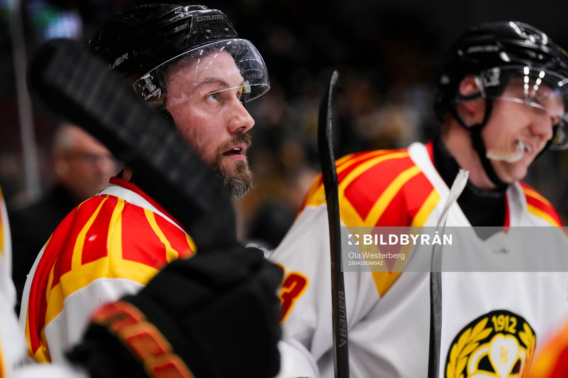 Brynäs Johan Larsson