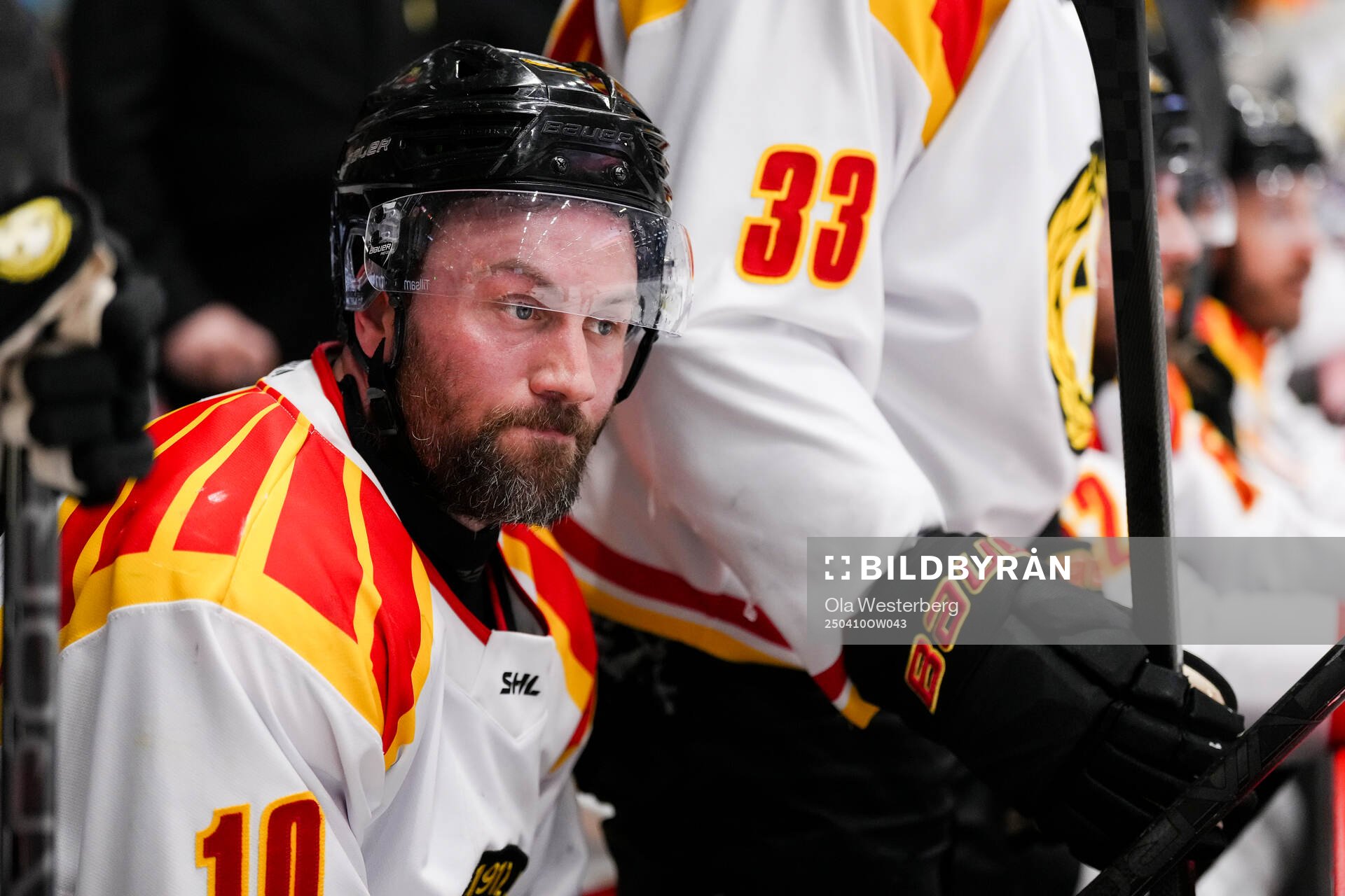Brynäs Johan Larsson