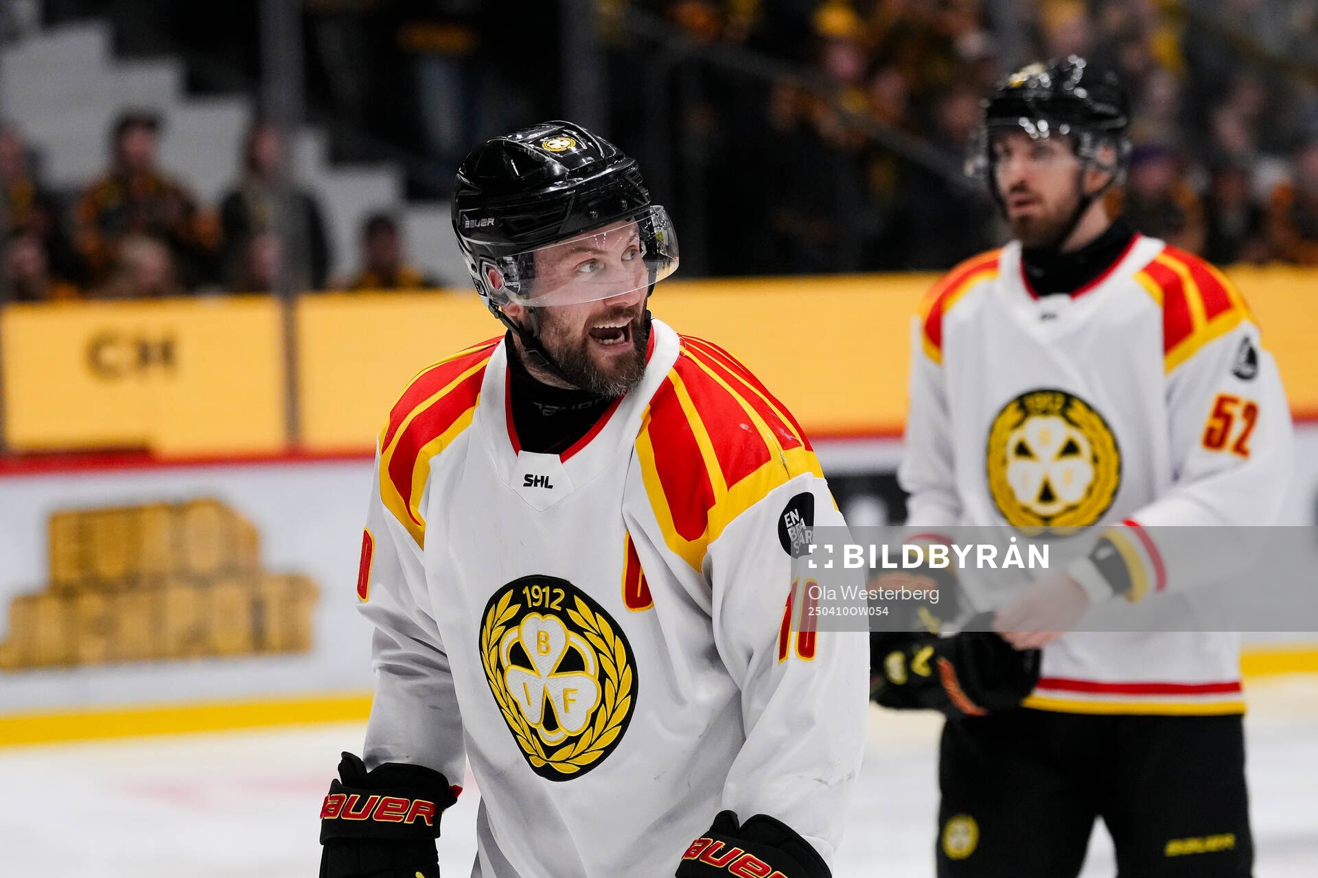 Brynäs Johan Larsson