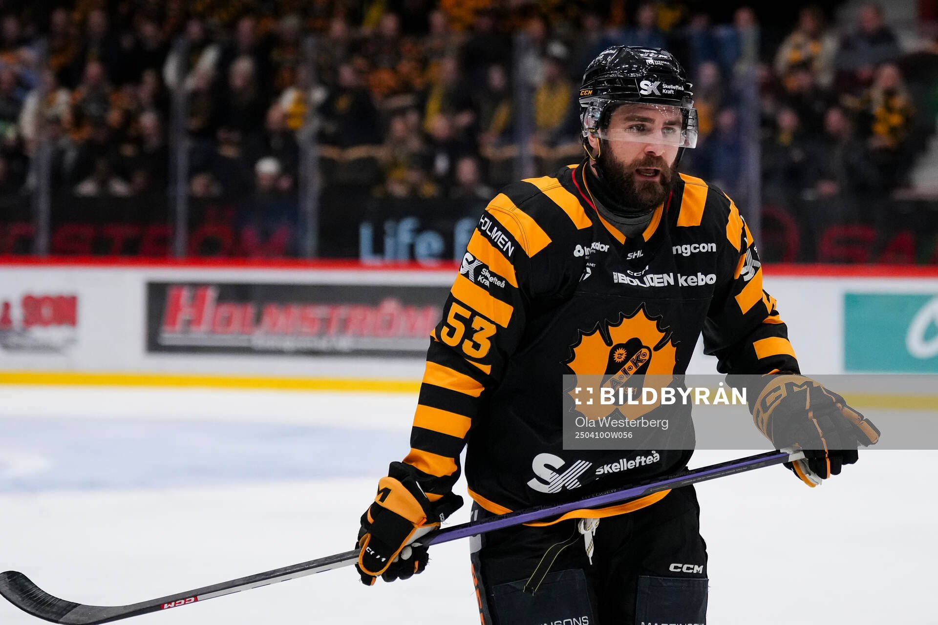 Skellefteås Luke Witkowski