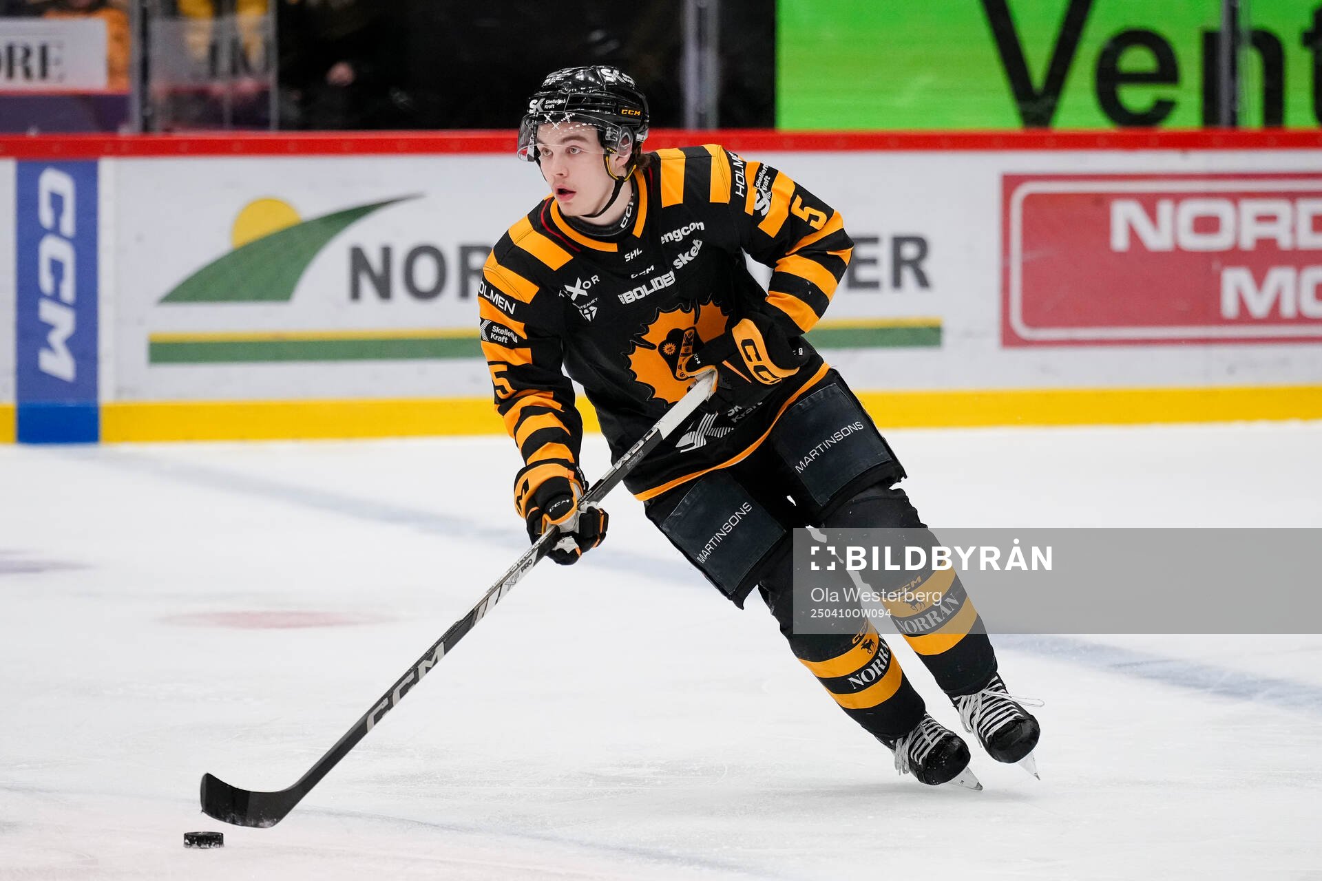 Skellefteås Axel Sandin Pellikka