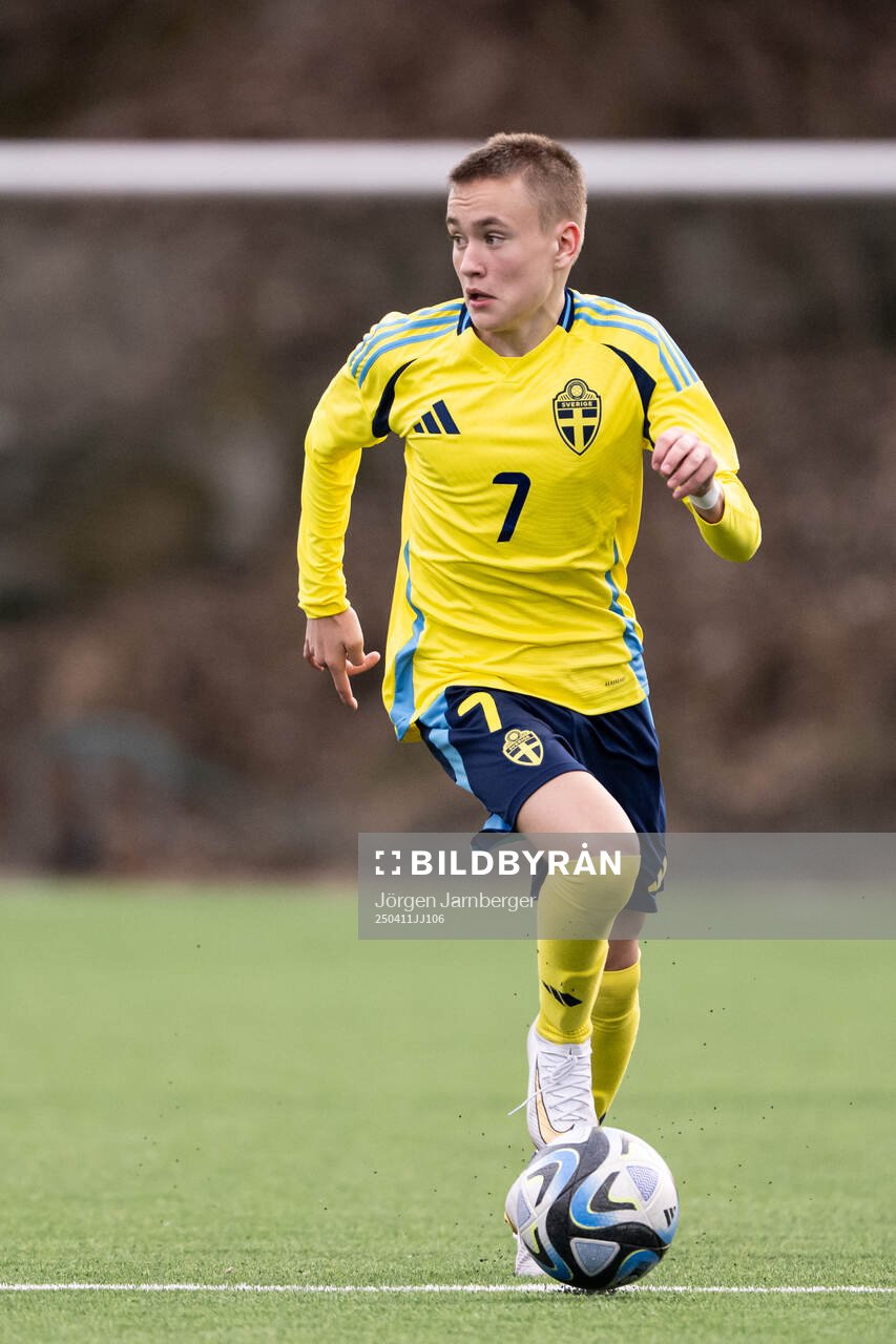 Nikolas Jovanovic of Sweden