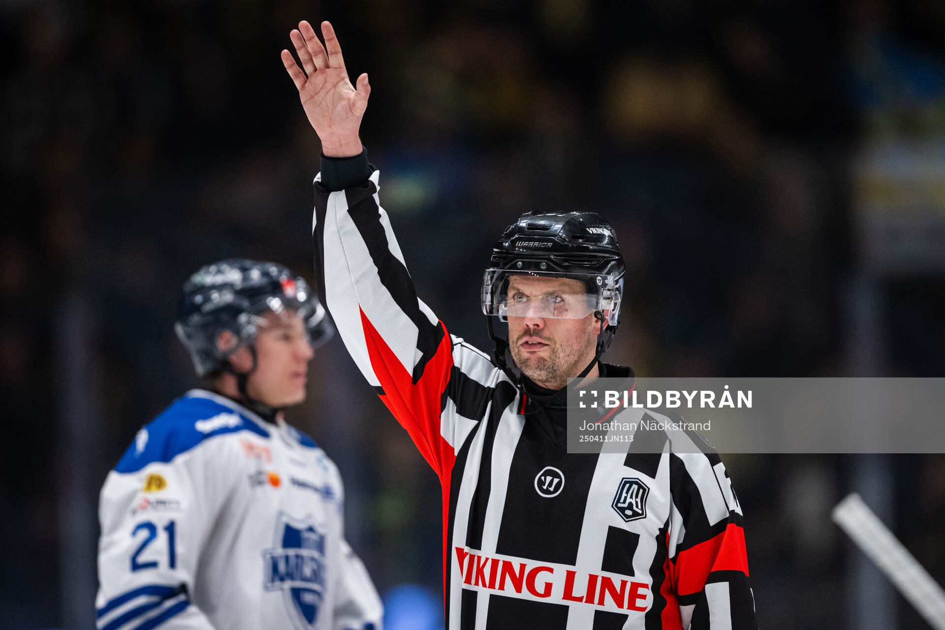 Domare Johan Magnusson