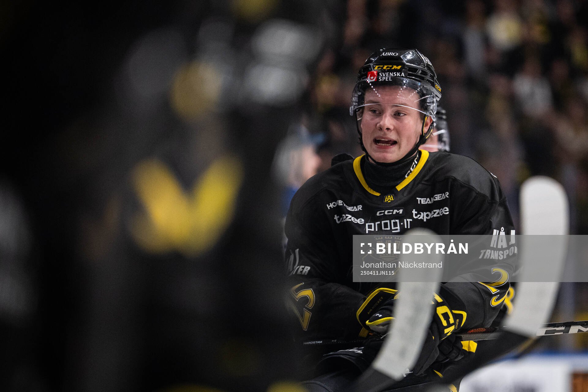 AIKs Theo Hårdstam