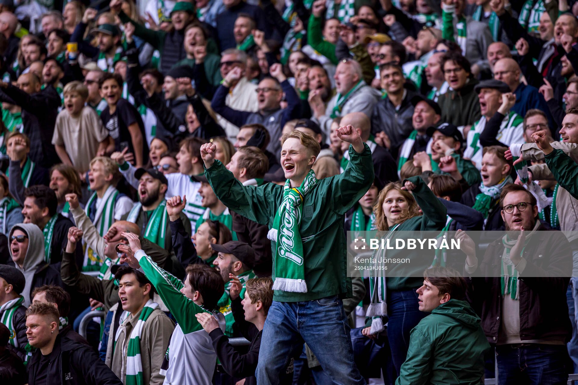Hammarbys supportrar