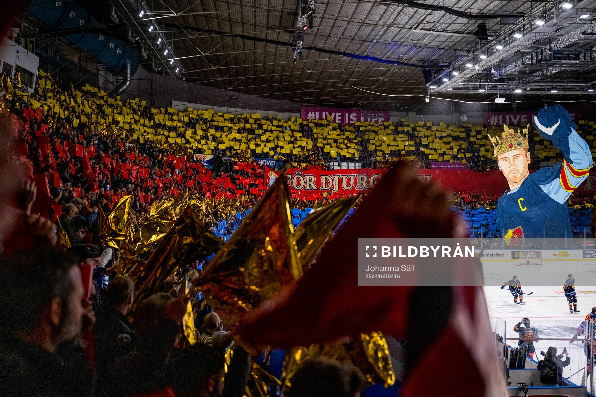 Djurgårdens supportrar med ett tifo