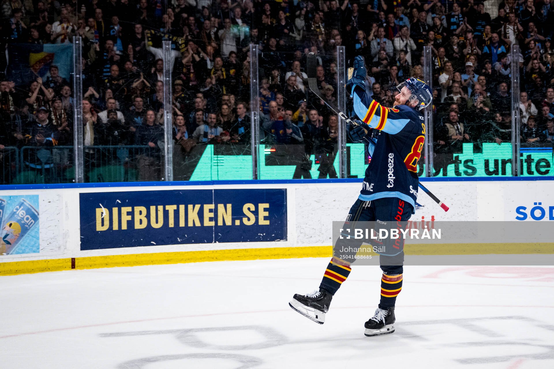 Djurgårdens Colby Sissons jublar