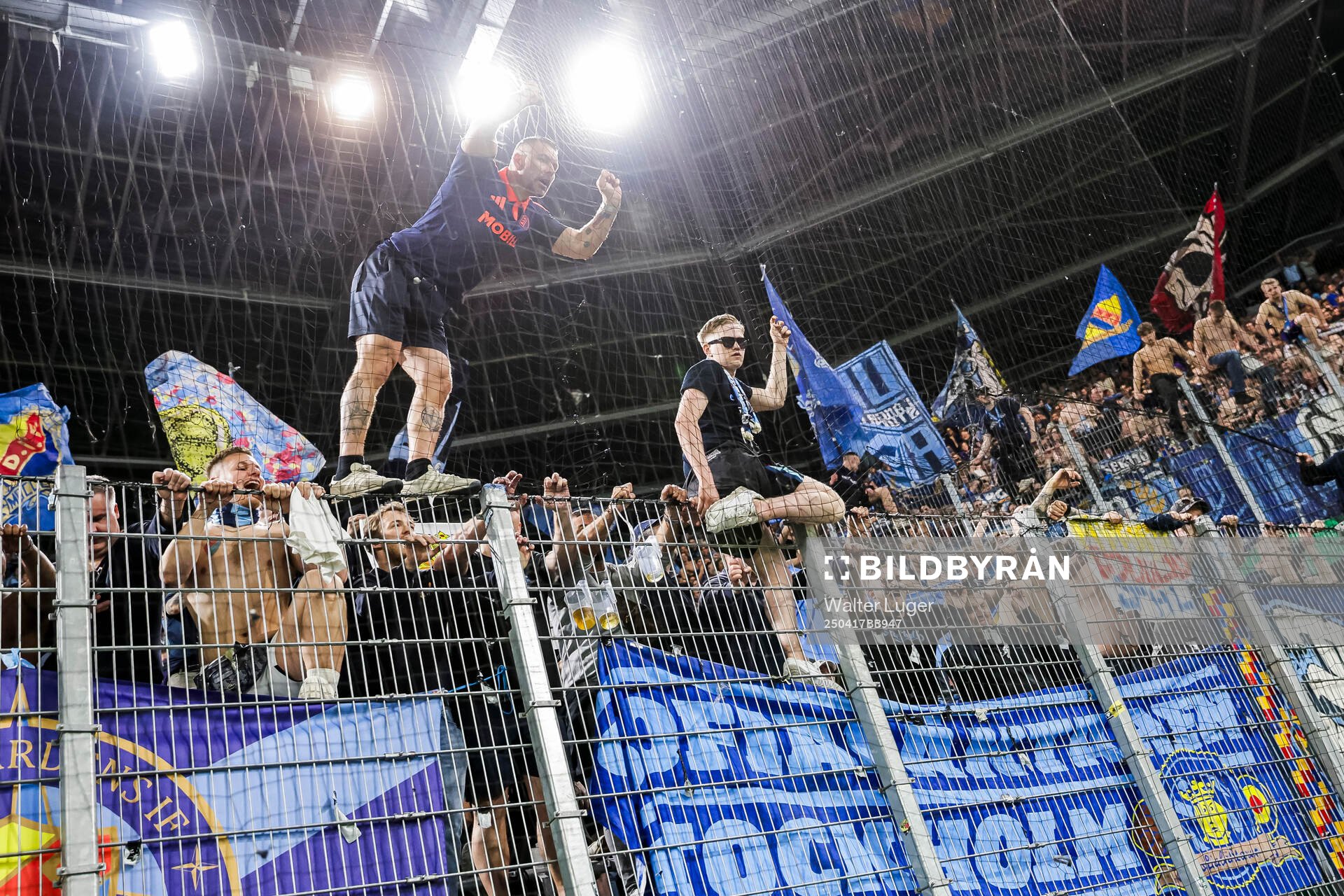 Fans of Djurgården celebrate