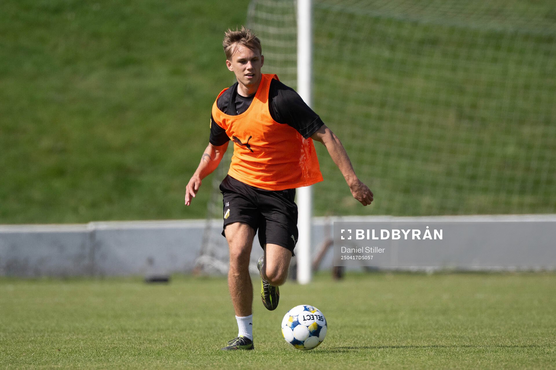 Pontus Dahbo