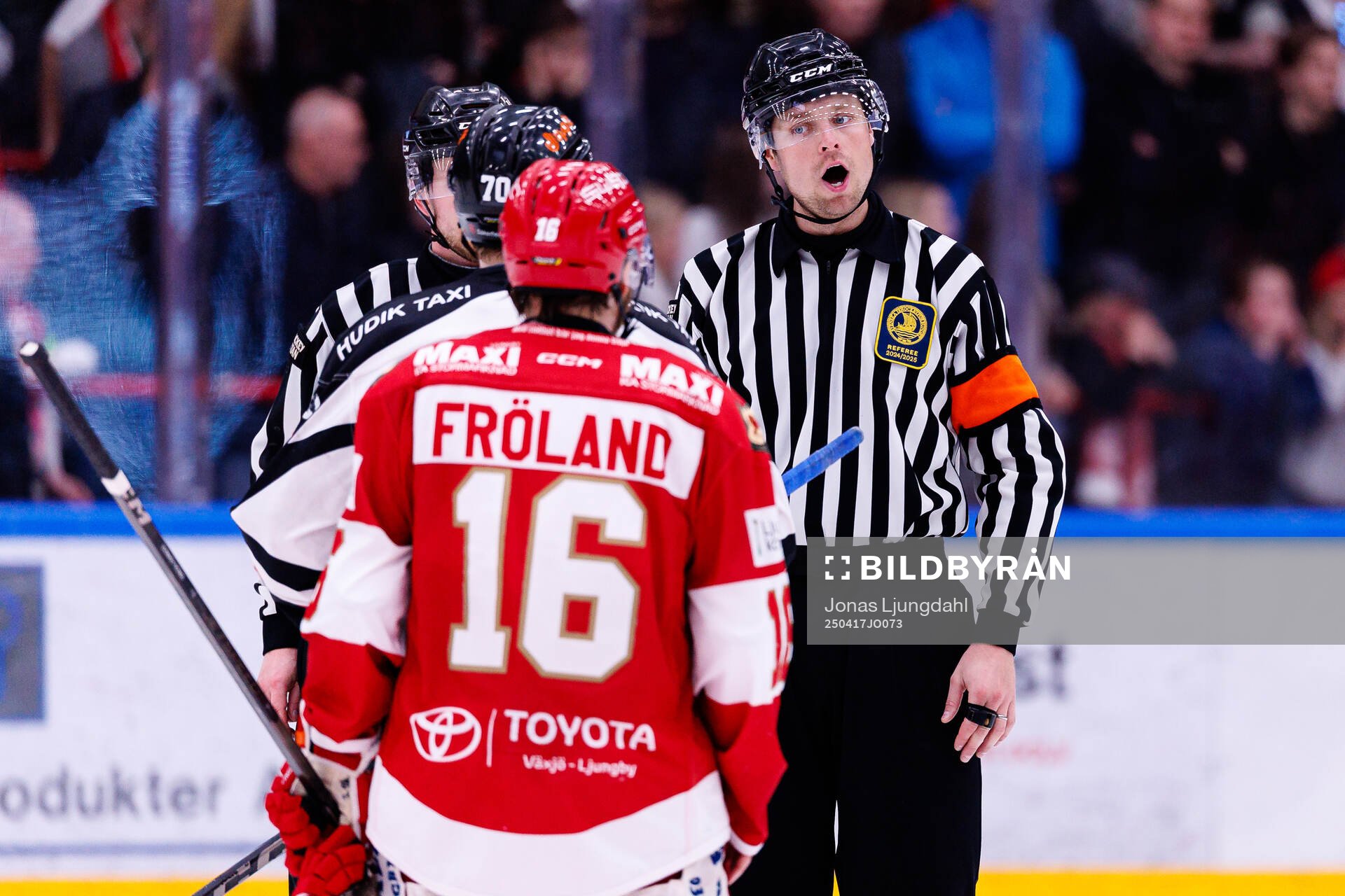 Domare Robin Forslund