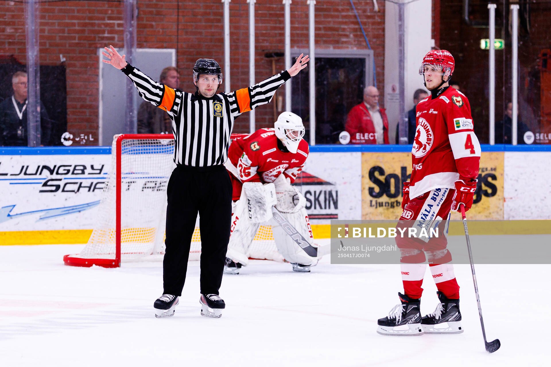 Domare Alex Eriksson