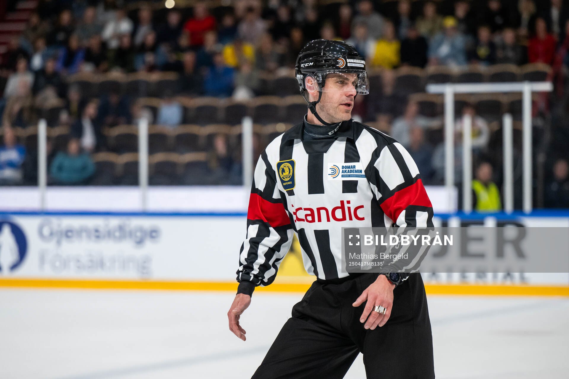 Referee Richard Magnusson