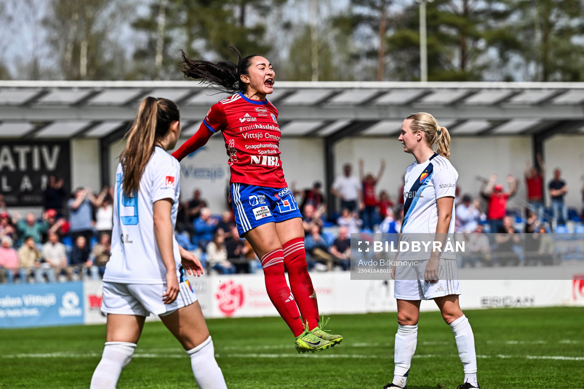 Vittsjös Jaida Nyby jublar