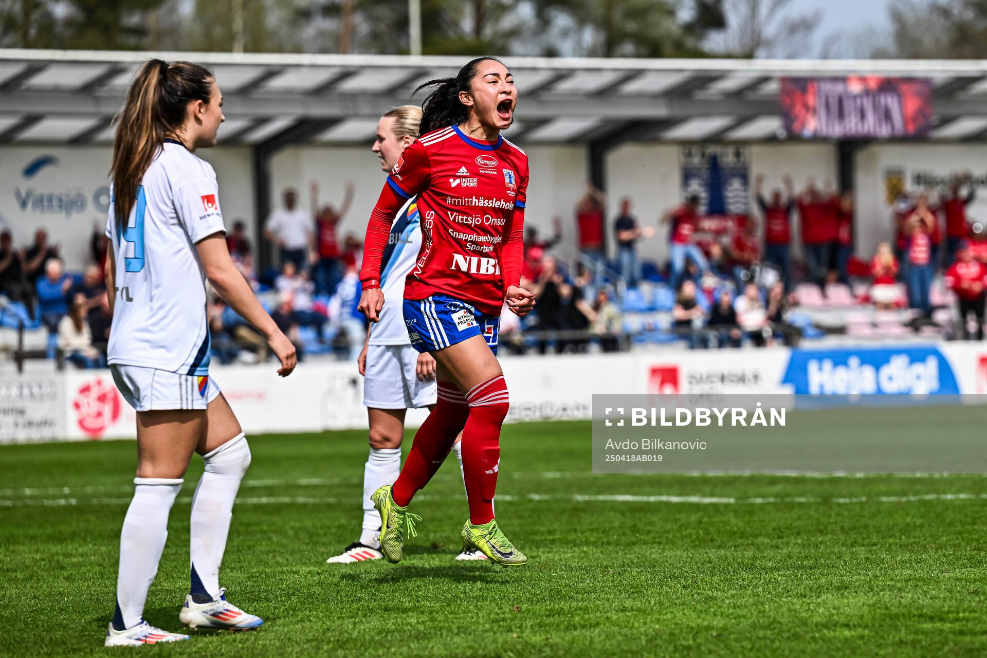Vittsjös Jaida Nyby jublar