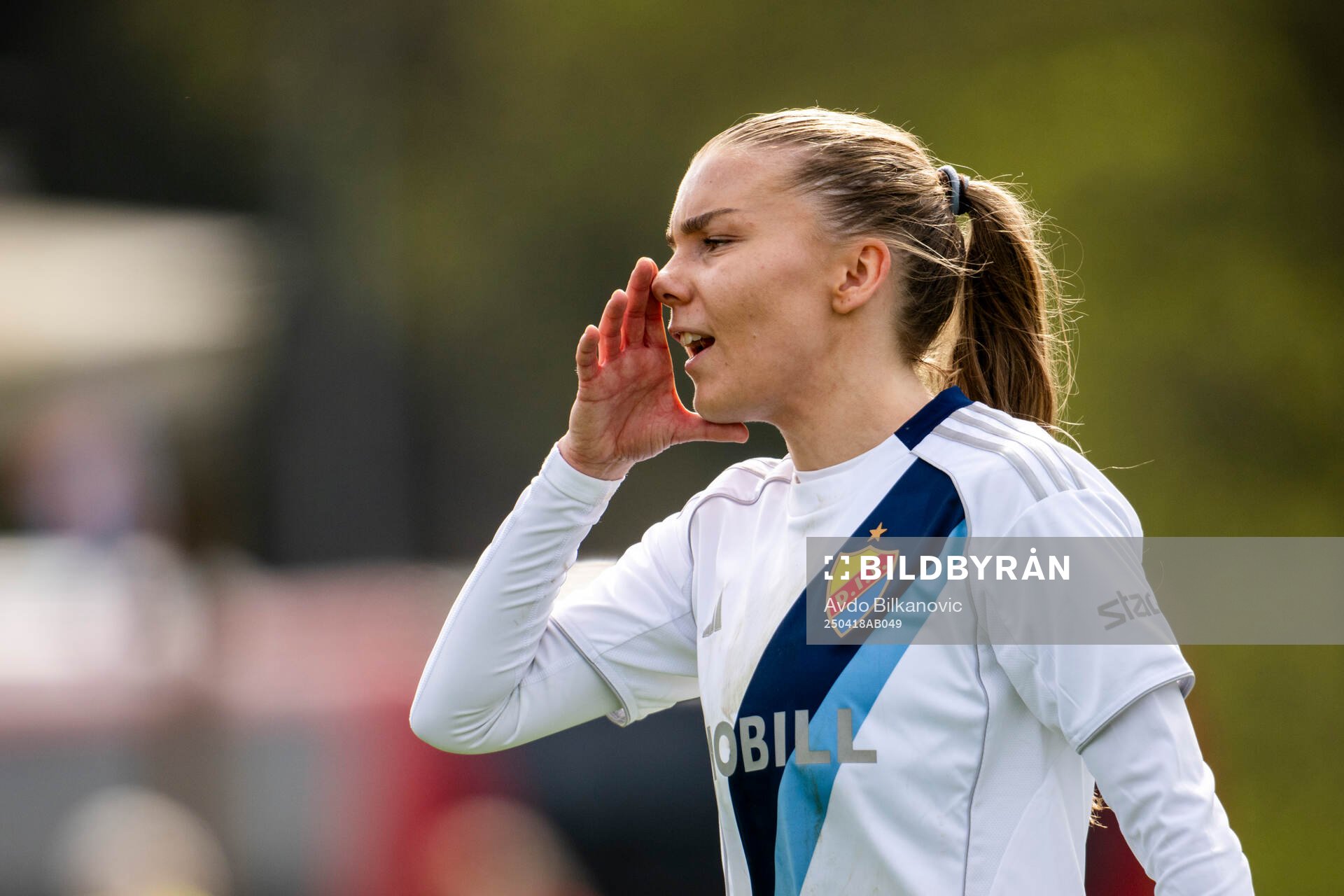 Djurgårdens Ebba Hed