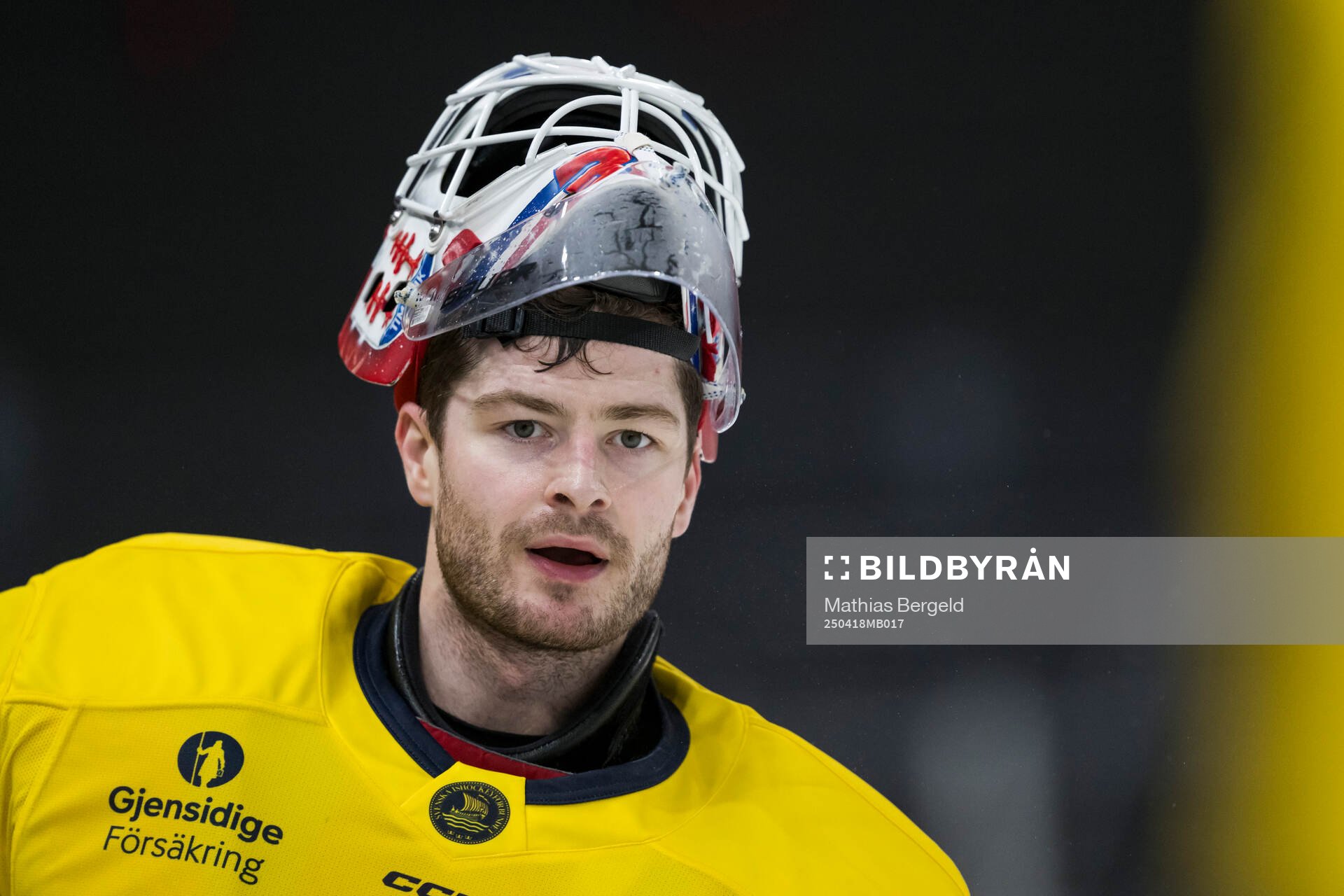 Goalkeeper Tim Juel of Sweden