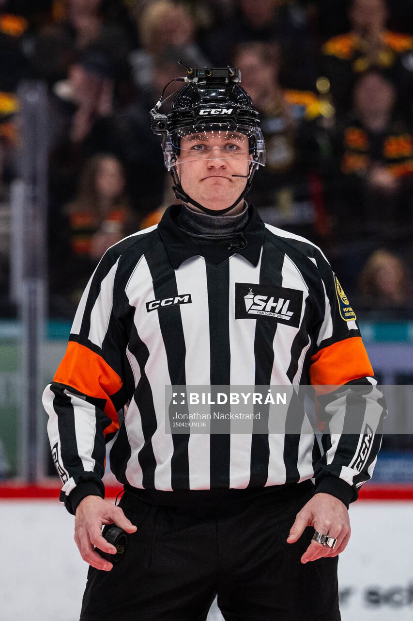 Domare Daniel Eriksson