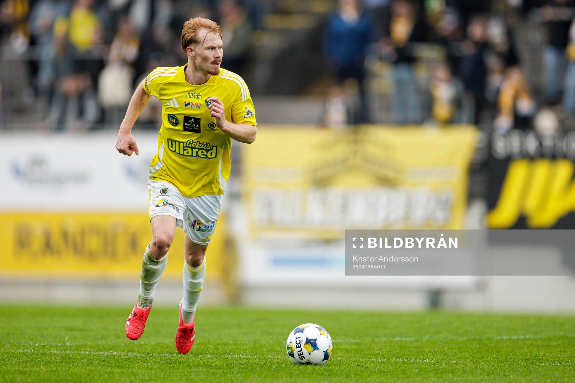 Falkenbergs Linus Borgström