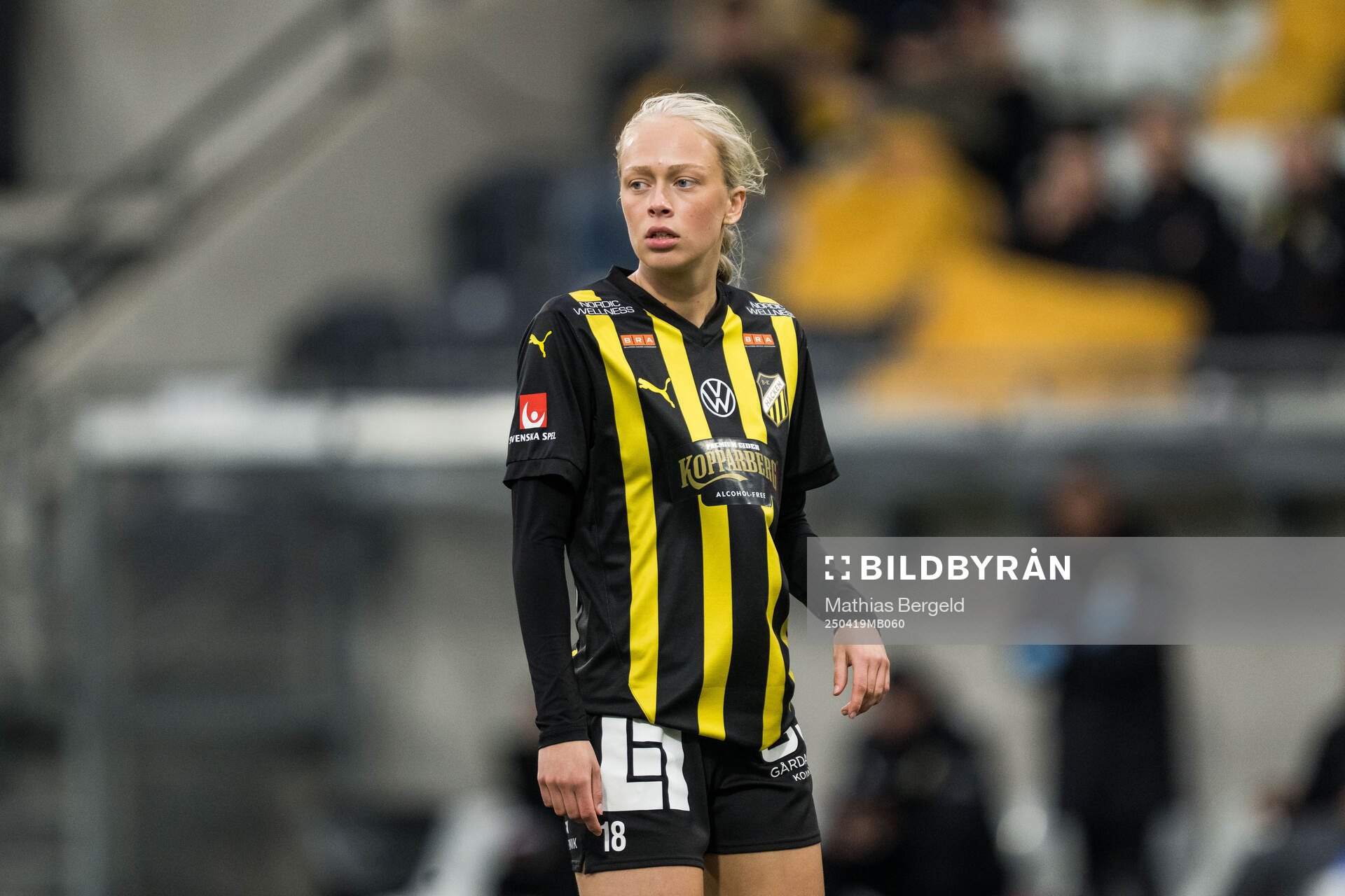 Häckens Lisa Löwing