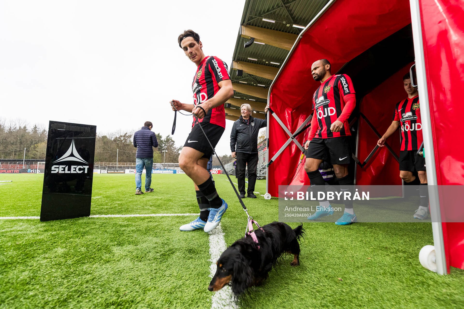 Brommapojkarnas spelare
