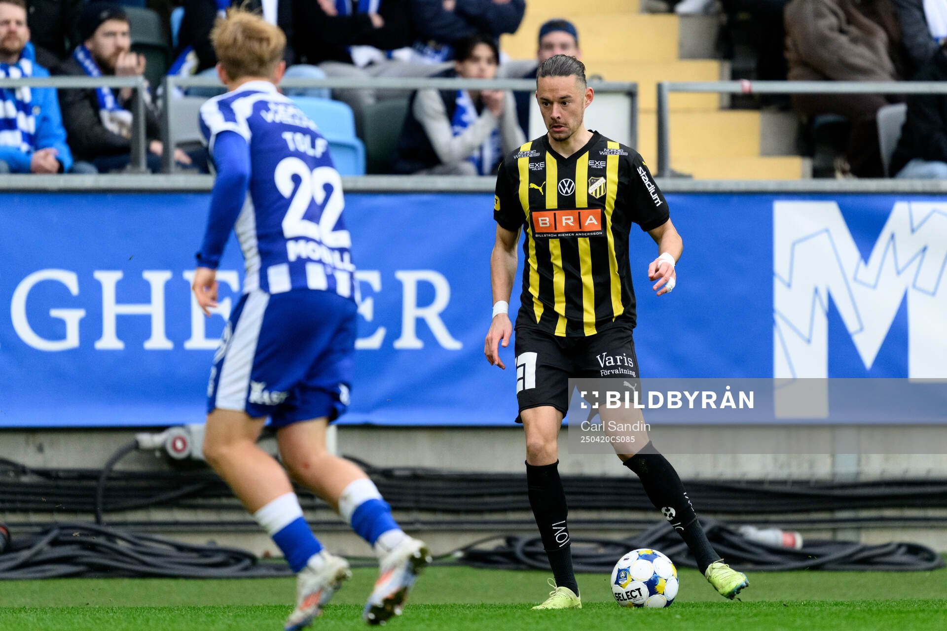 Häckens Amor Layouni