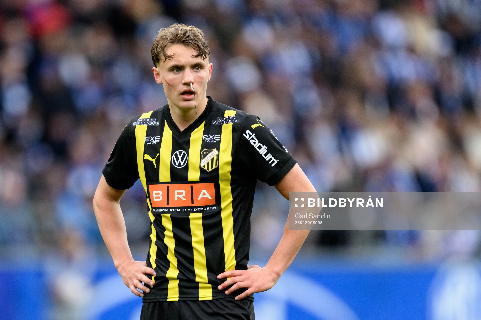 Häckens Filip Öhman