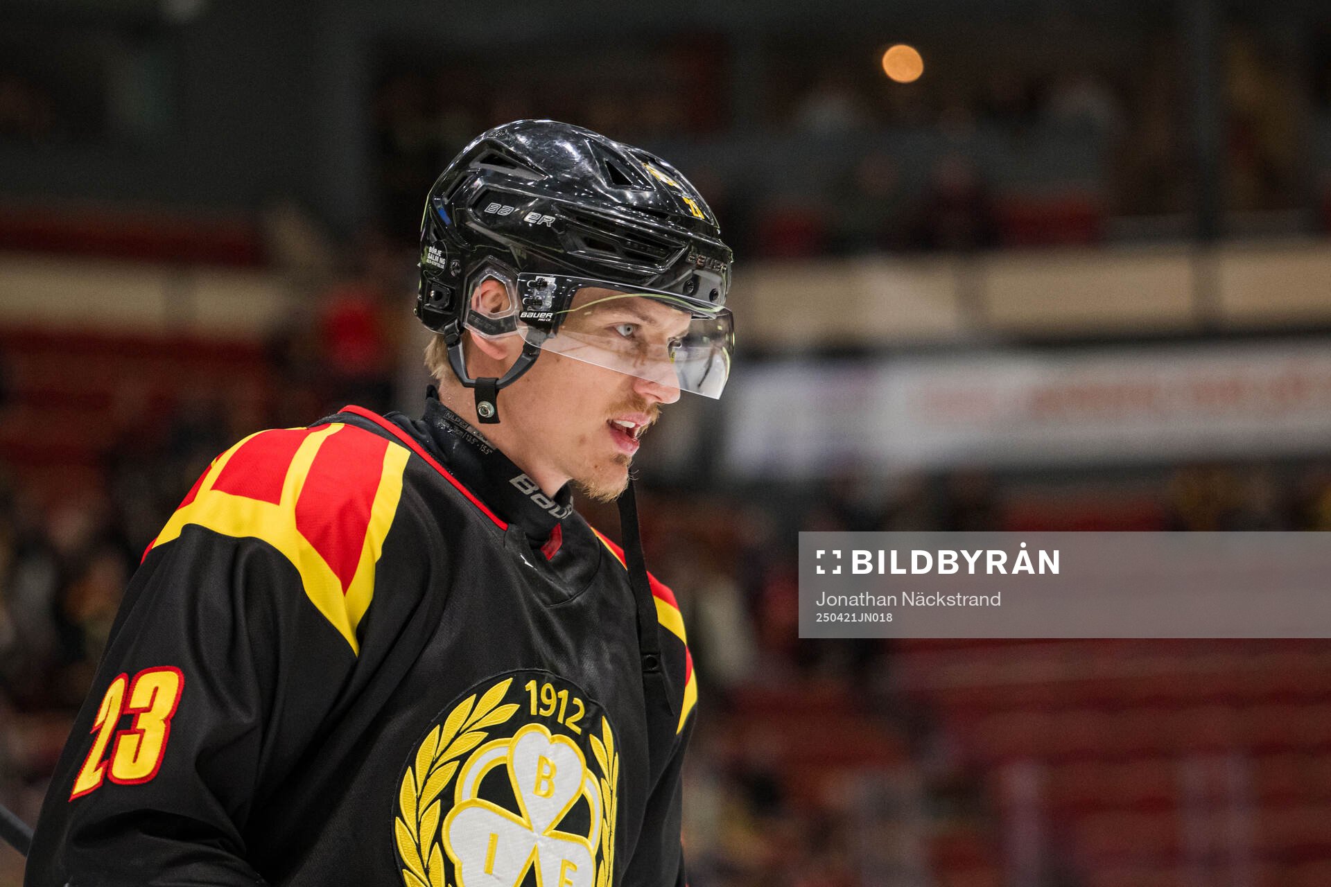 Brynäs Theo Lindstein