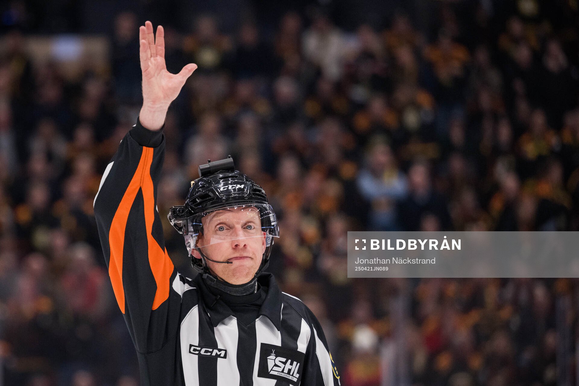 Domare Mikael Holm