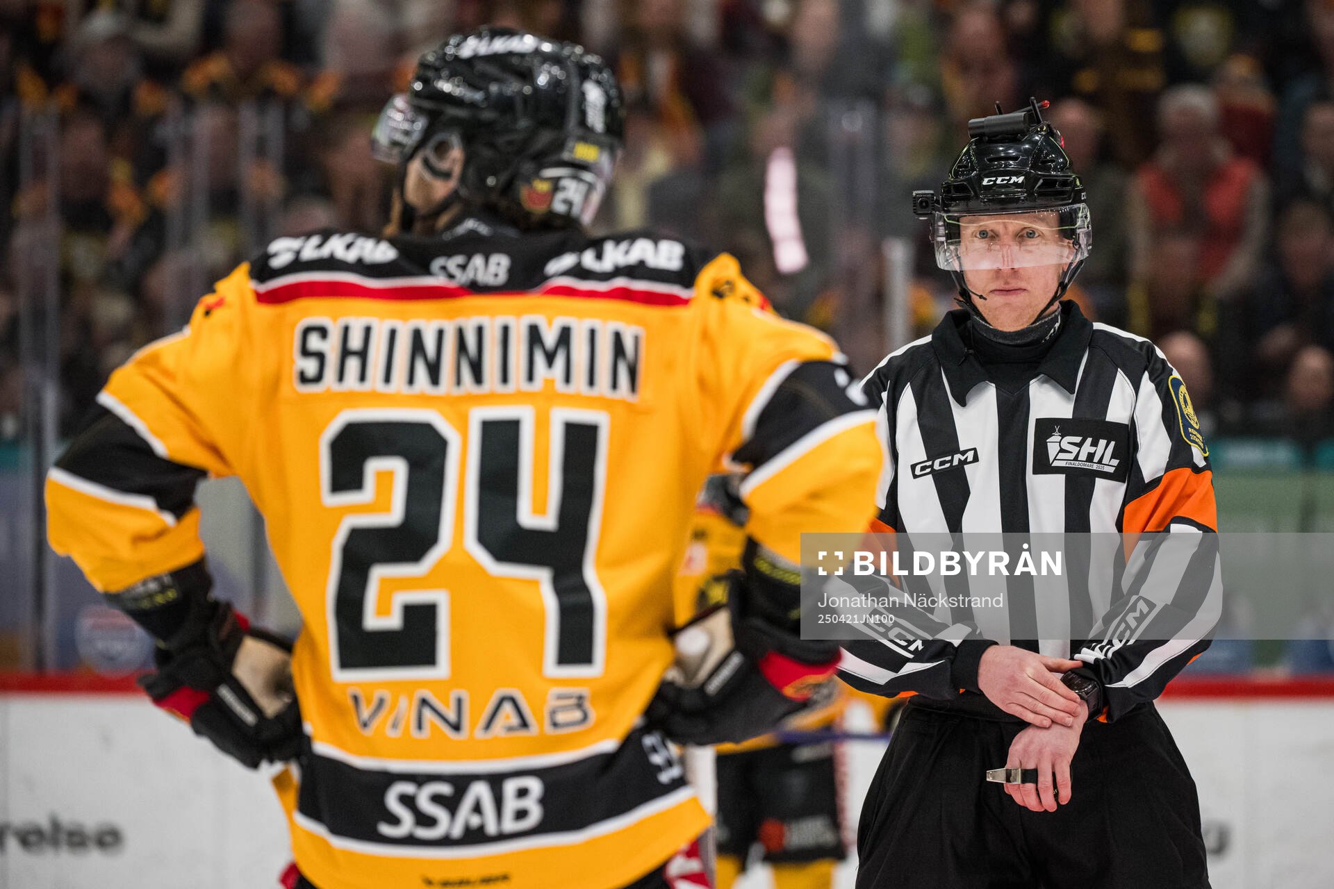 Domare Mikael Holm