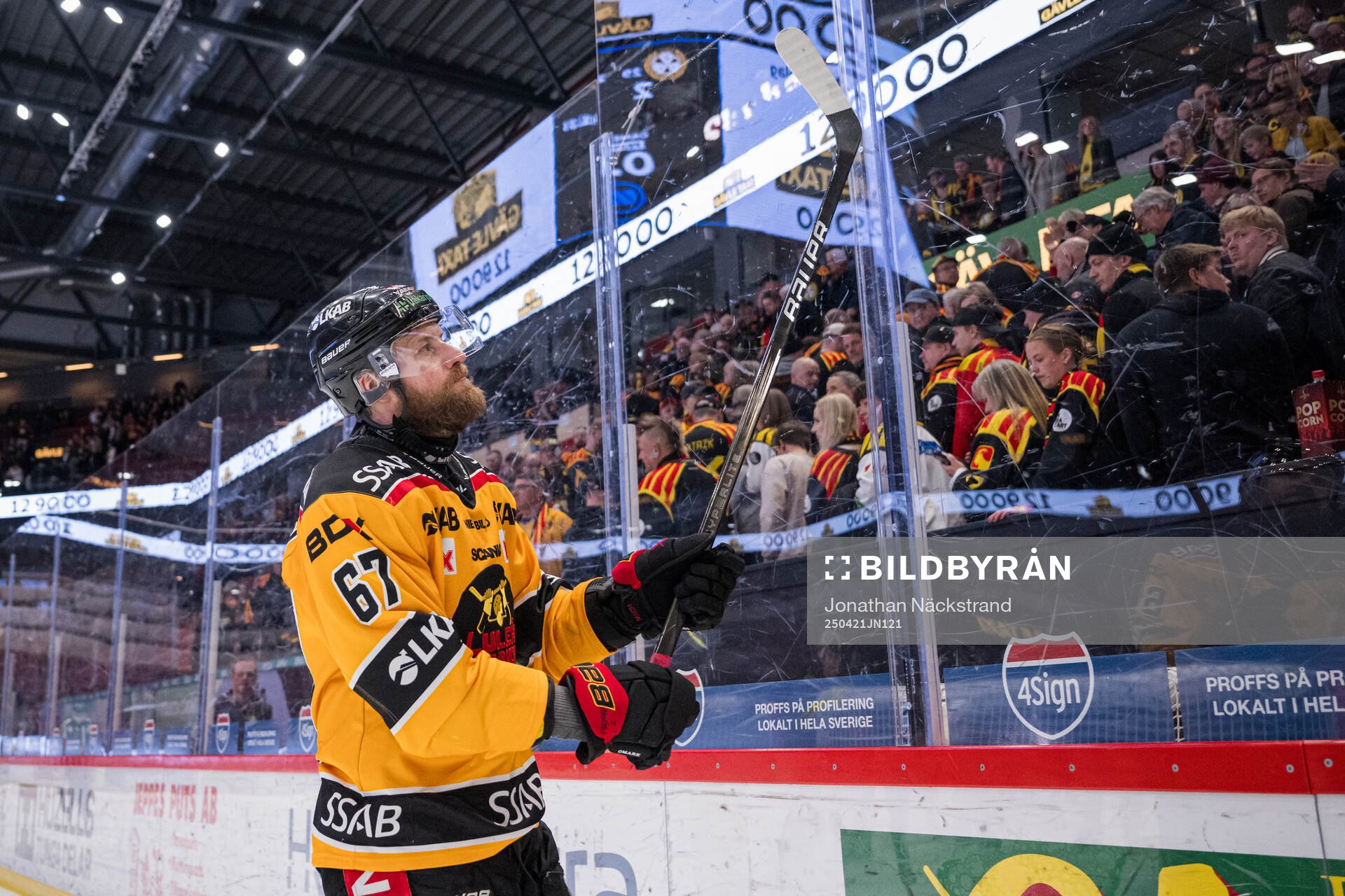 Luleås Linus Omark jublar