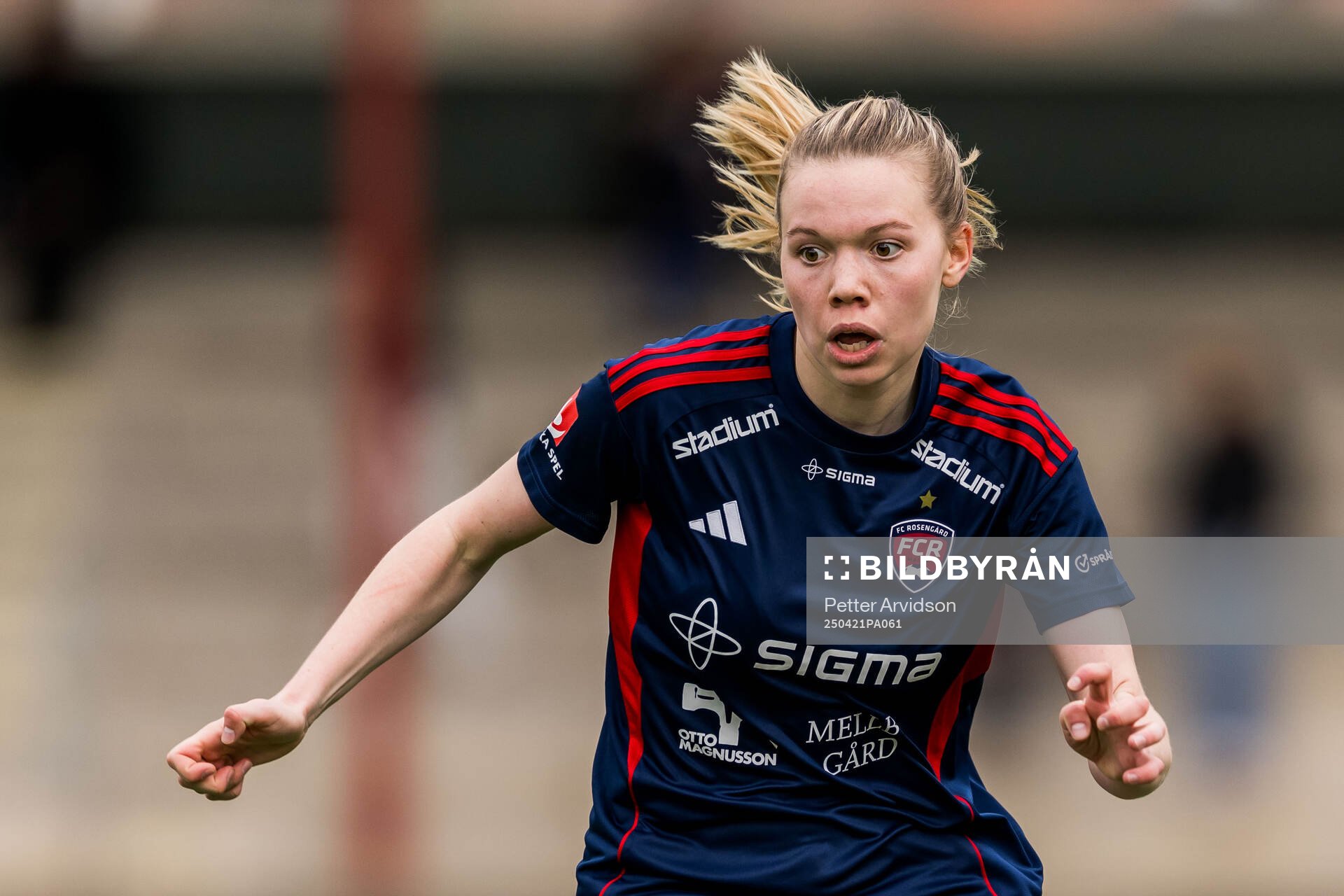 Rosengårds Bea Sprung