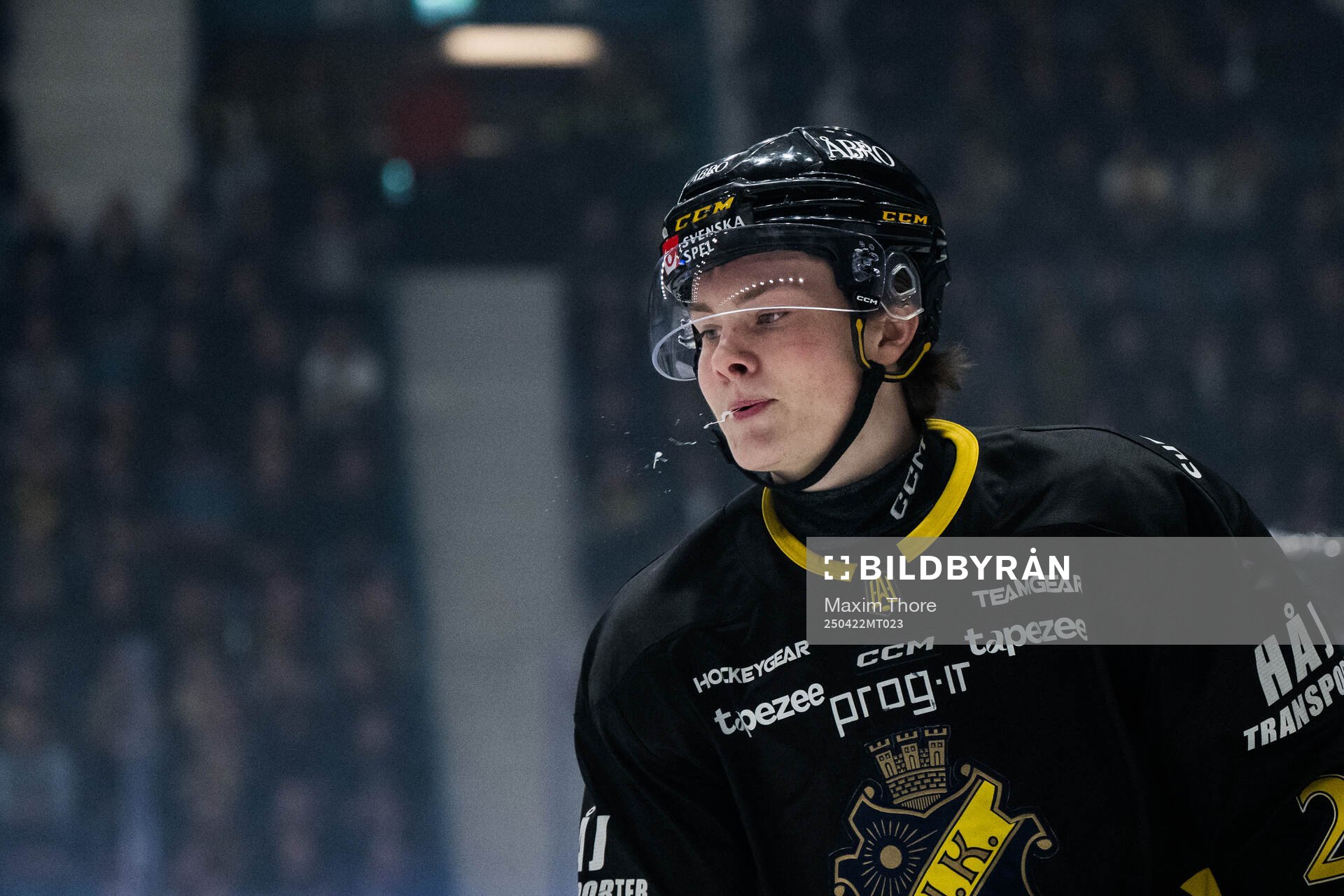 AIKs Theo Hårdstam