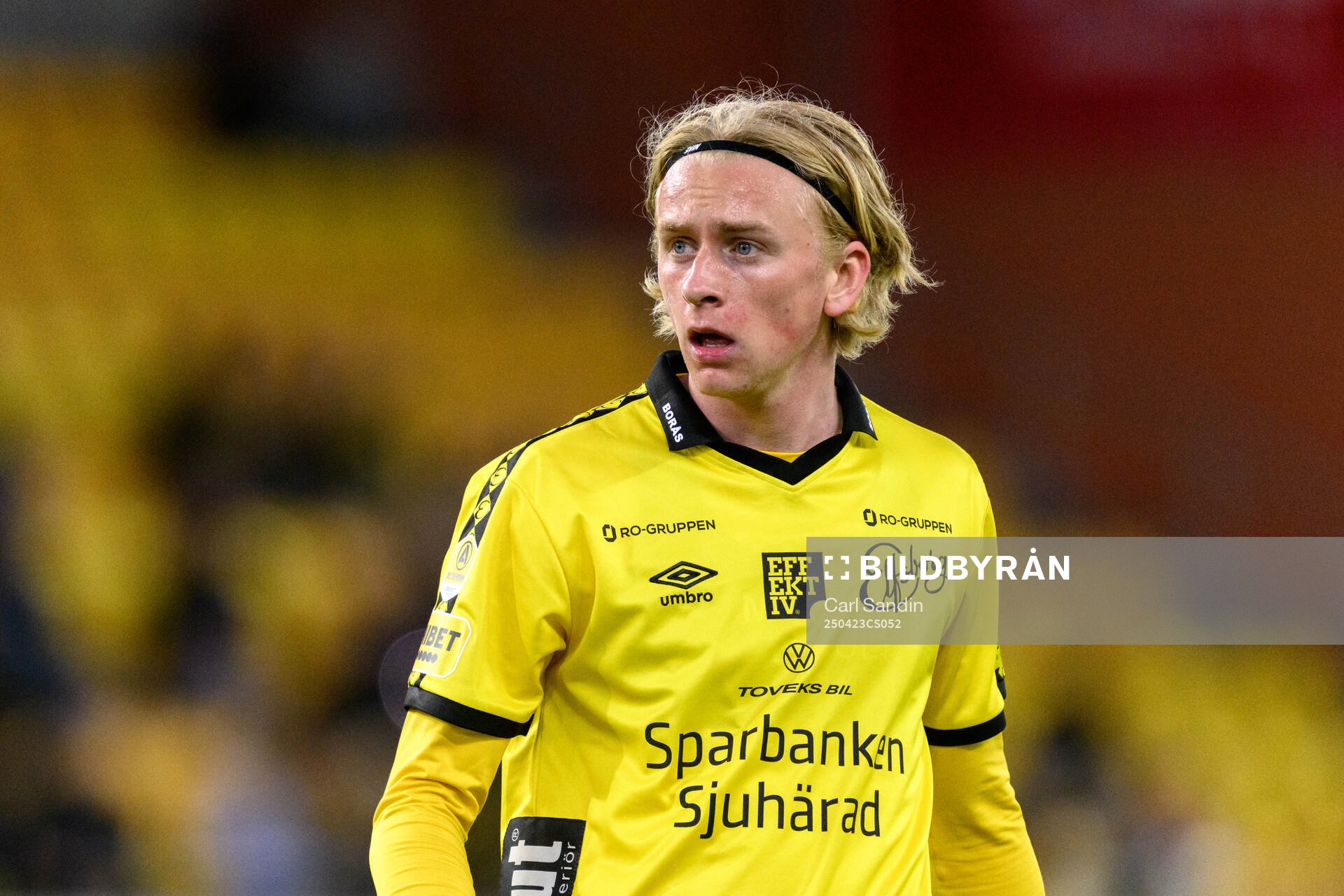 Elfsborgs Ludvig Richtnér