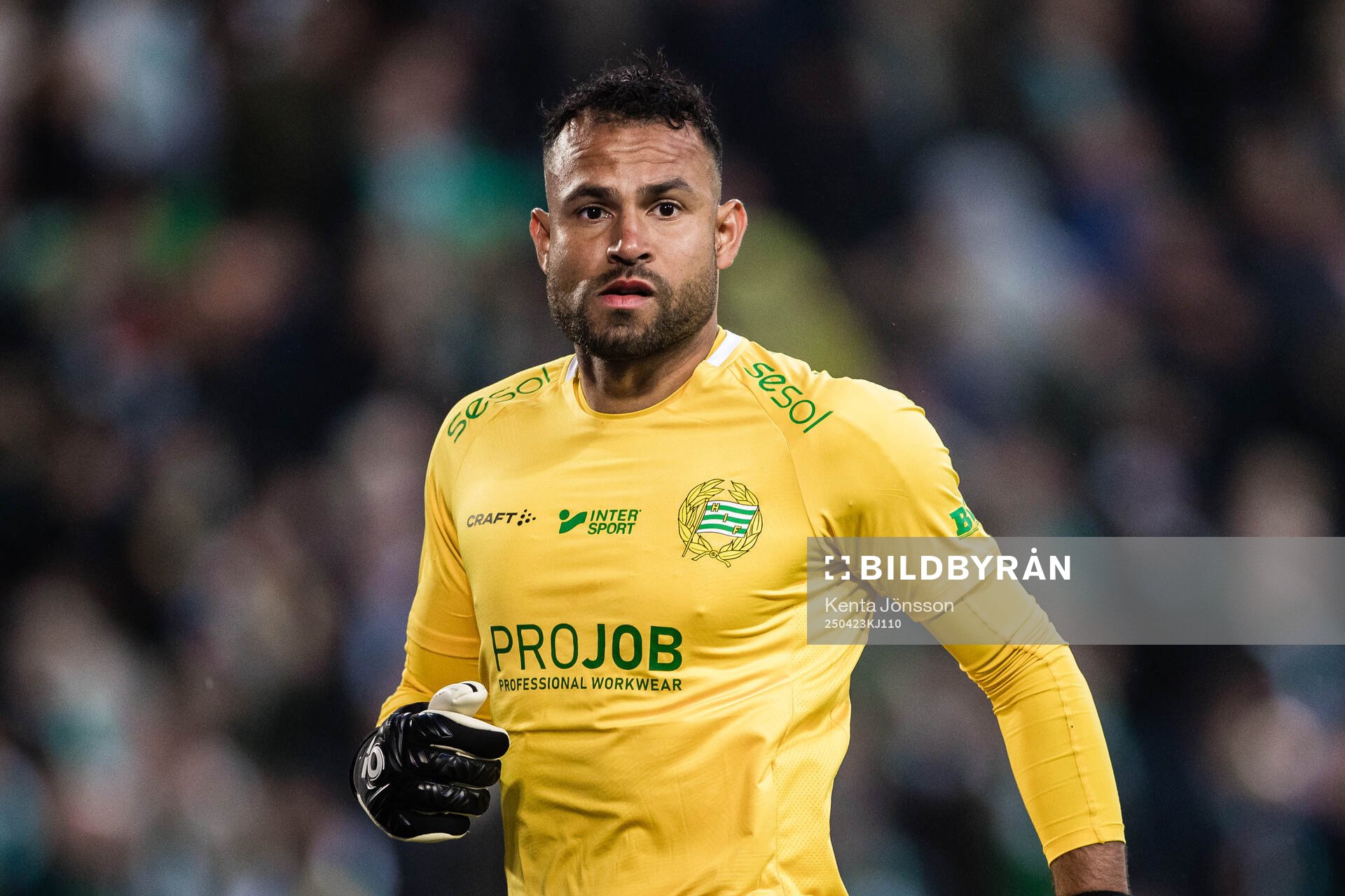 Hammarbys målvakt Warner Hahn