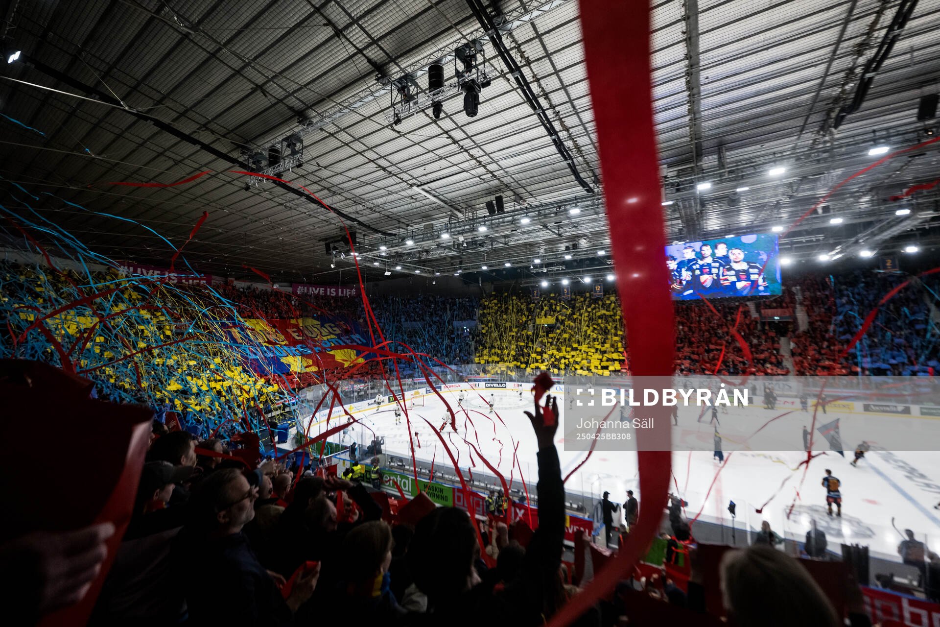 Djurgårdens supportrar med ett tifo