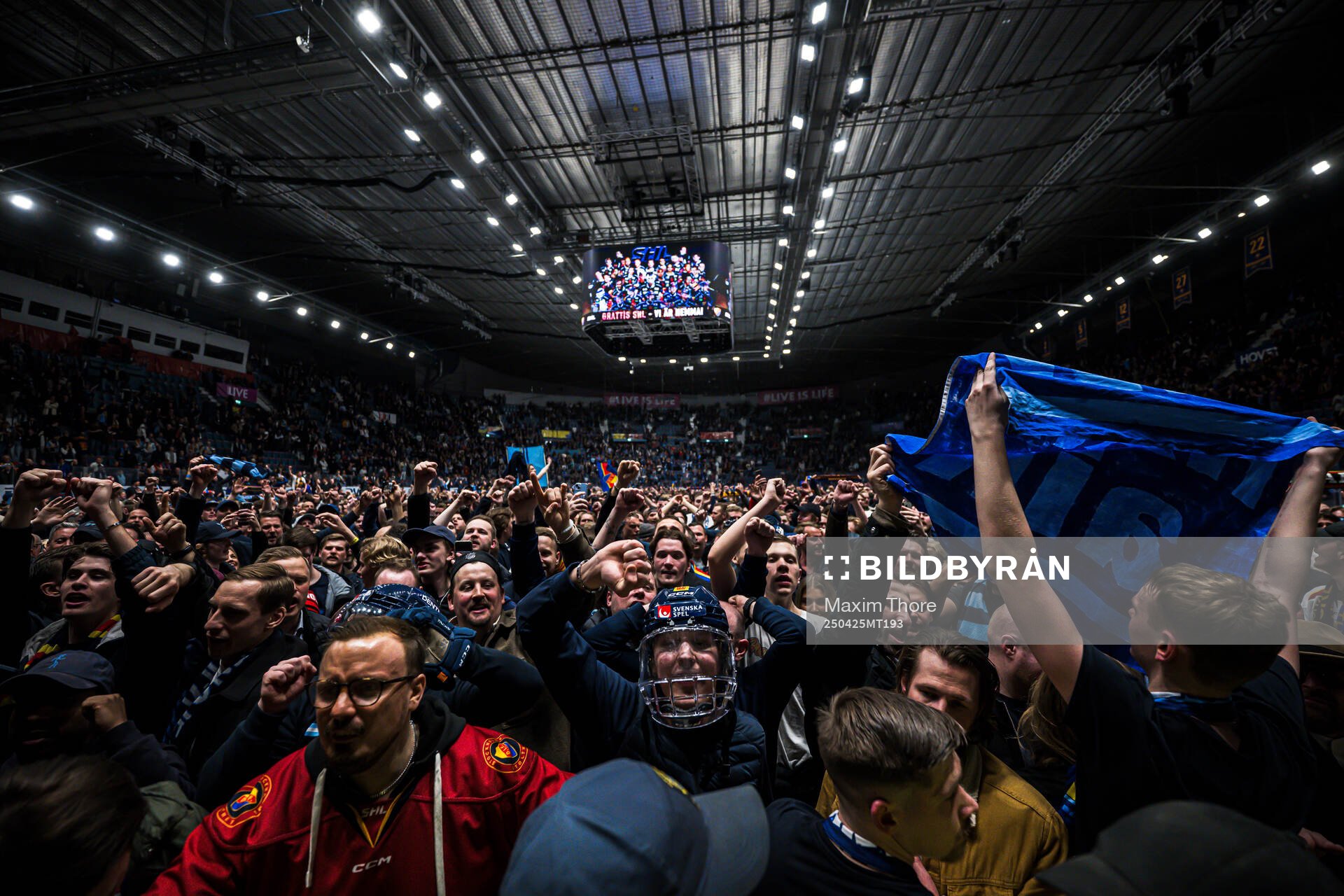 Djurgårdens supportrar jublar