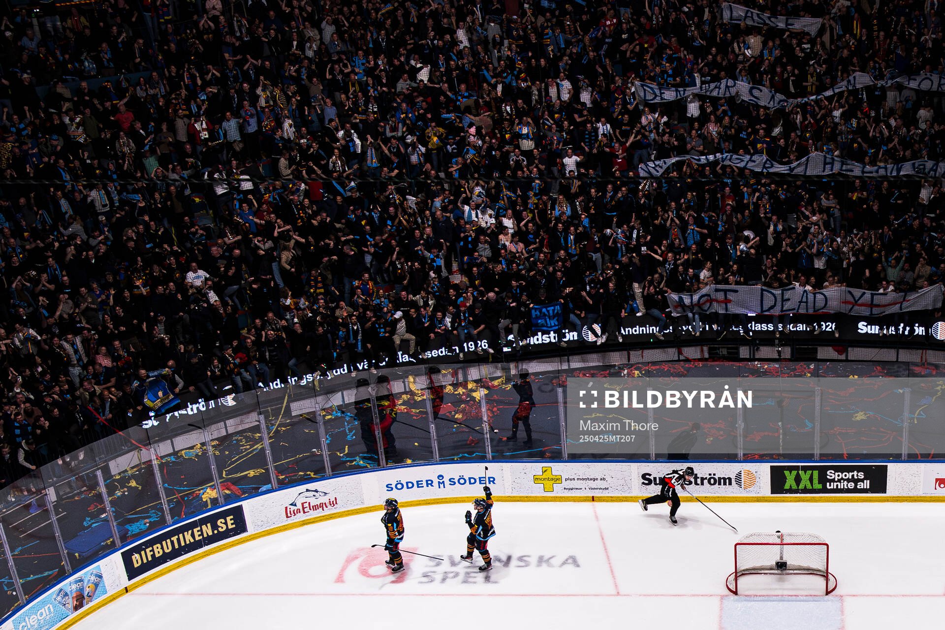 Djurgårdens Edvin Hammarlund jublar