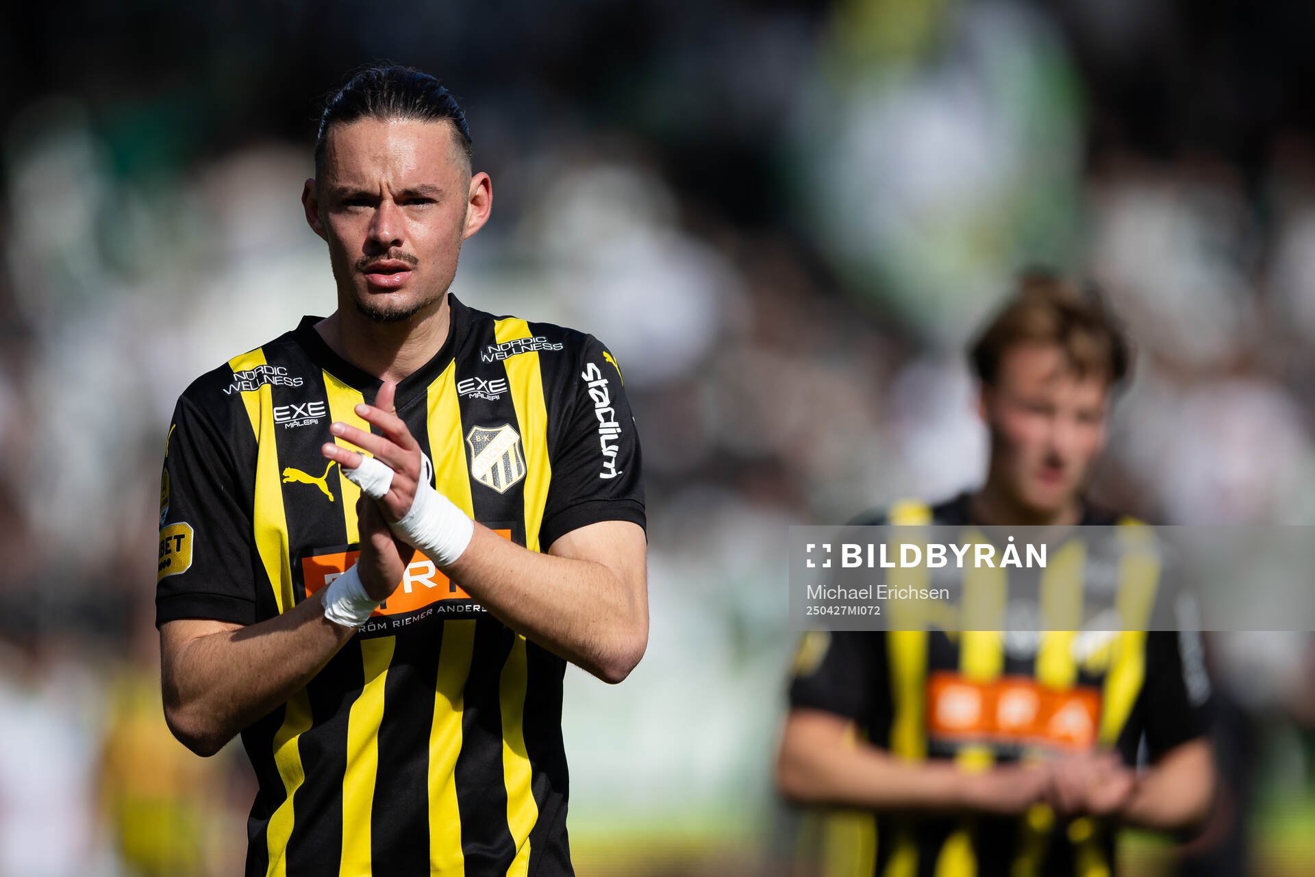 Häckens Amor Layouni