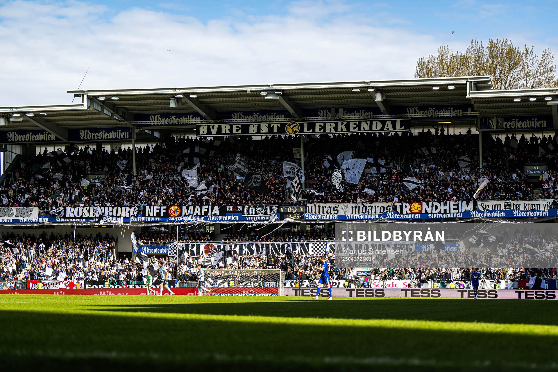 Spectators in the stands