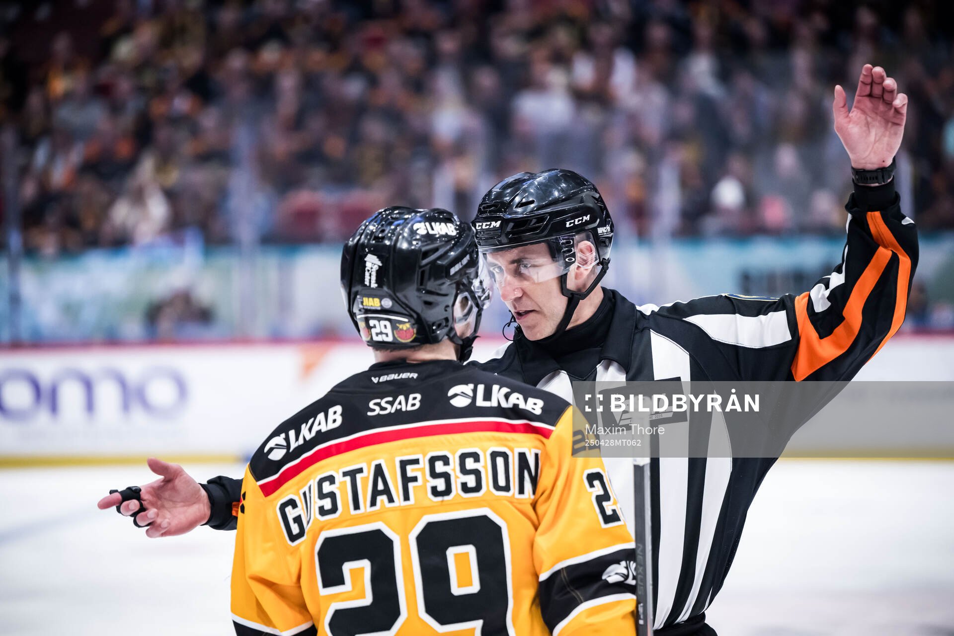 Luleås Erik Gustafsson och huvuddomare Linus Öhlund