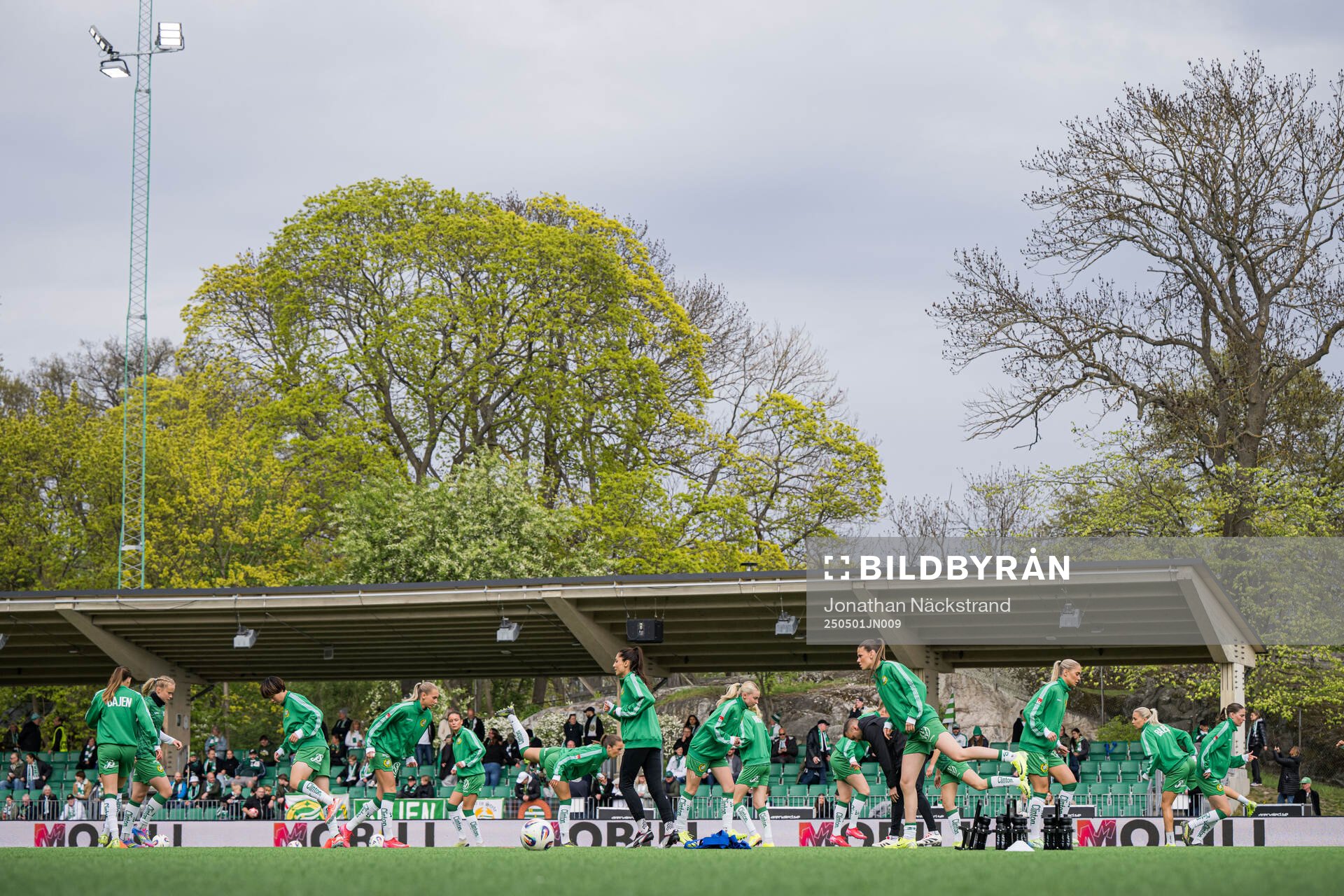 Hammarbys spelare