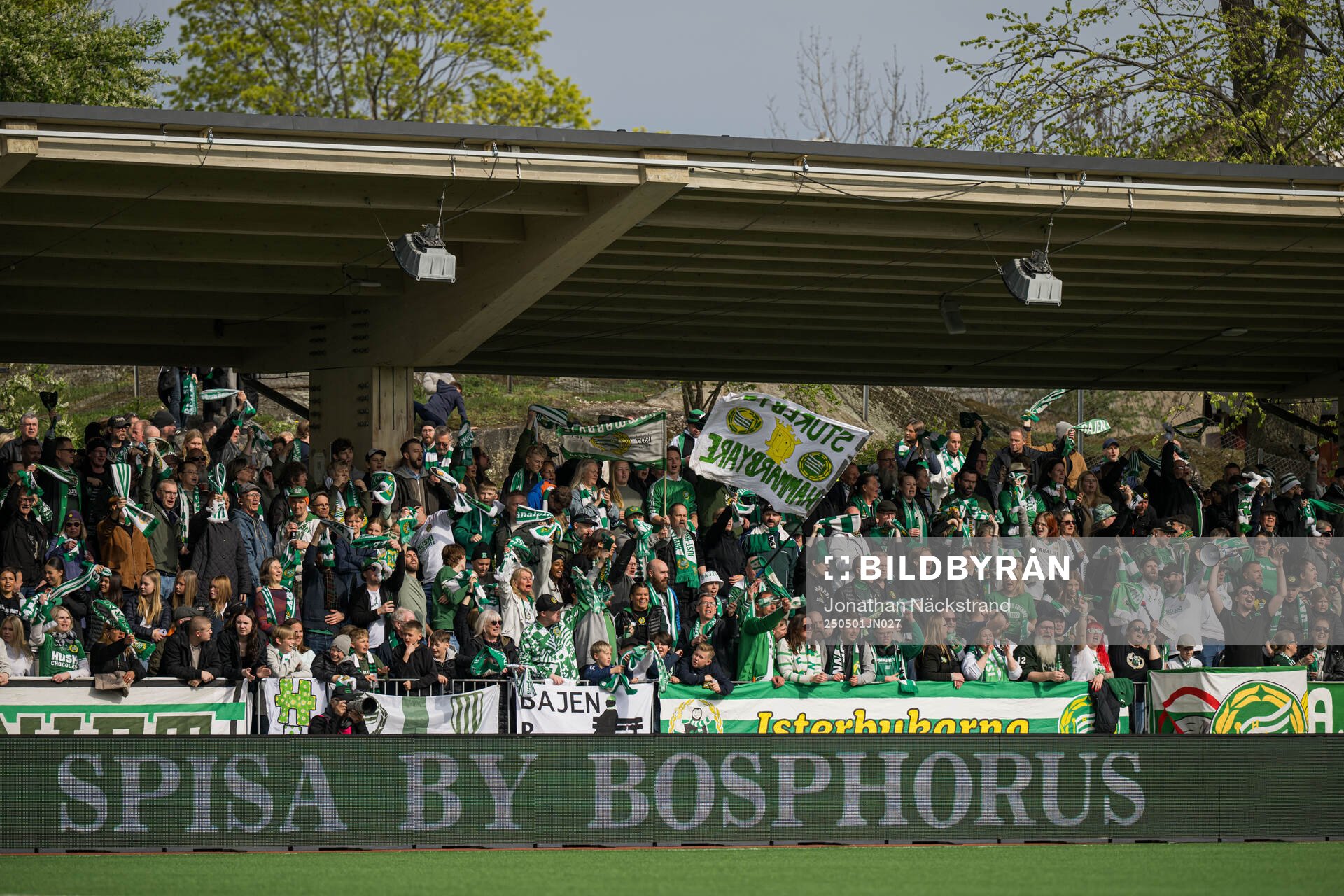 Hammarbys public