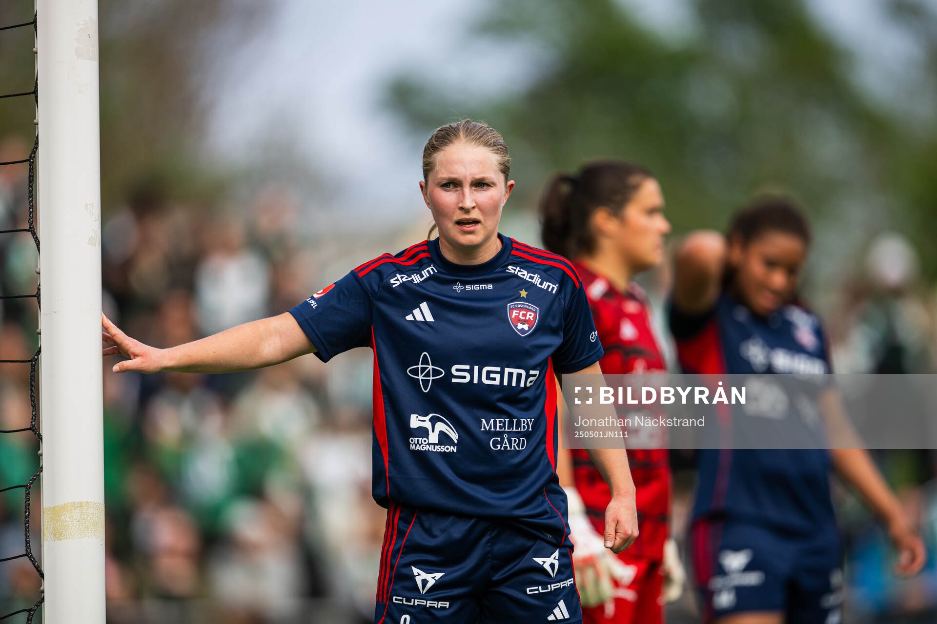 Rosengårds Hanna Andersson
