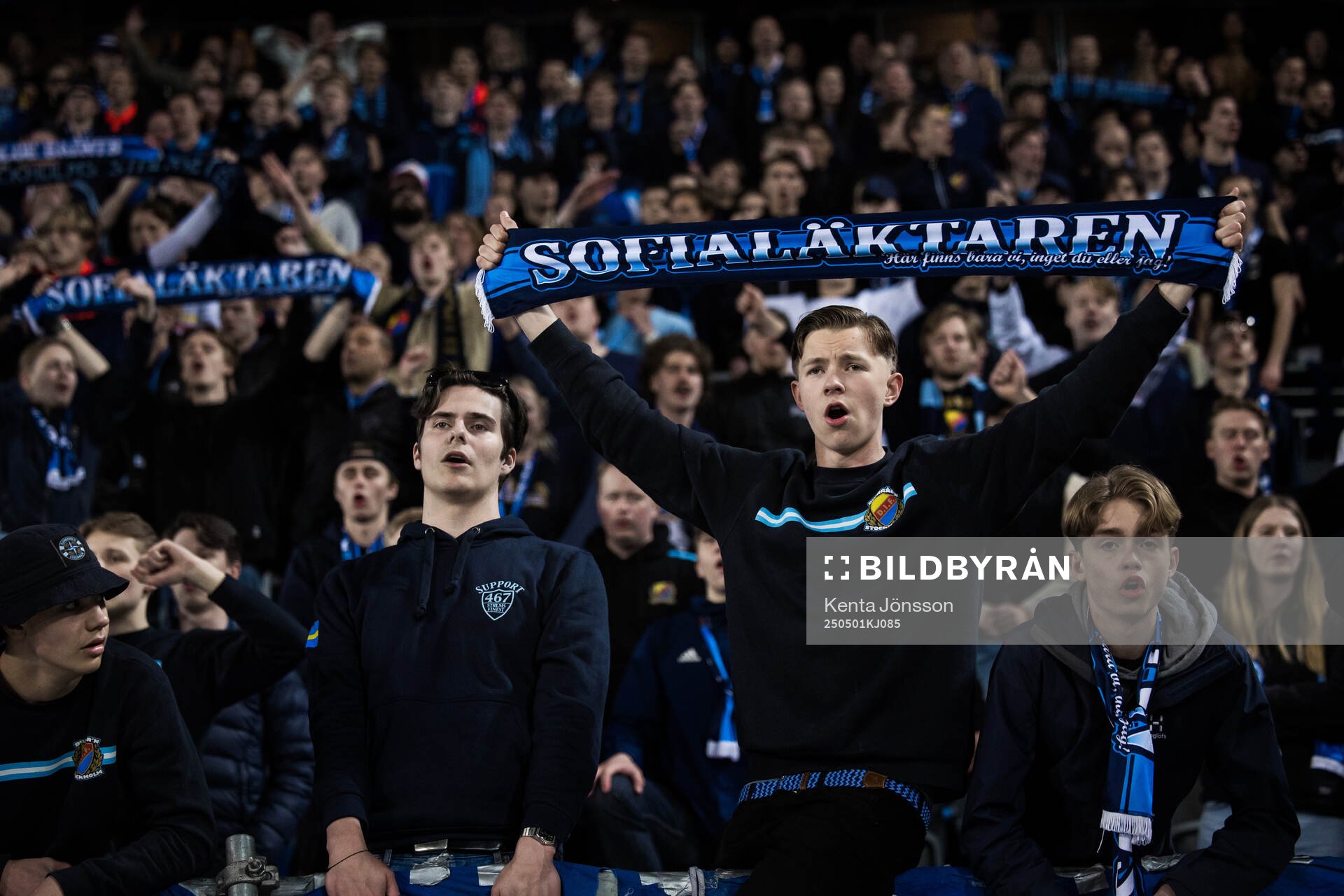 Fans of Djurgården