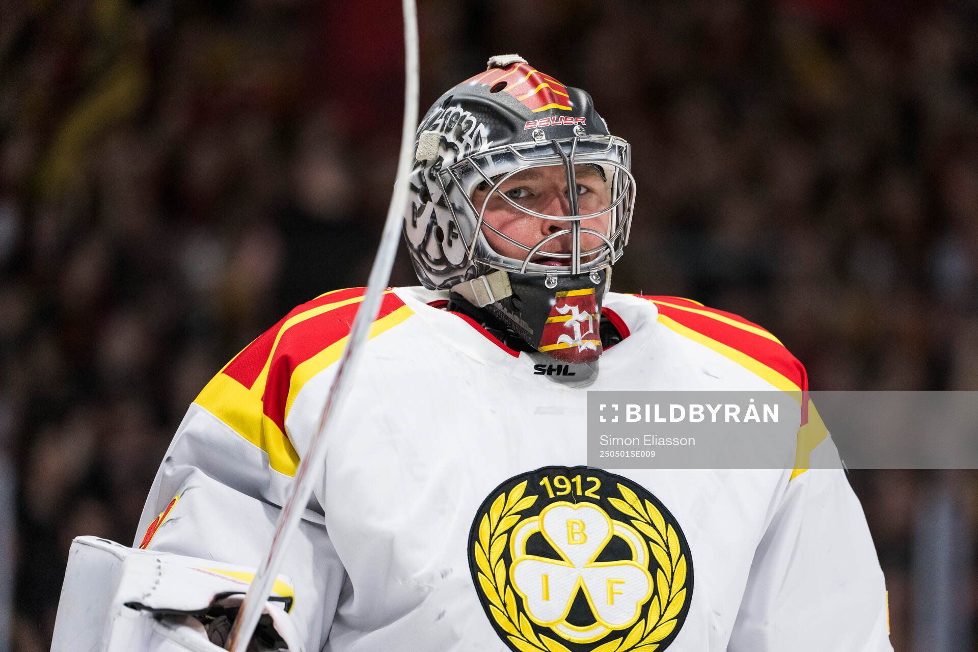 Brynäs målvakt Ludvig Persson