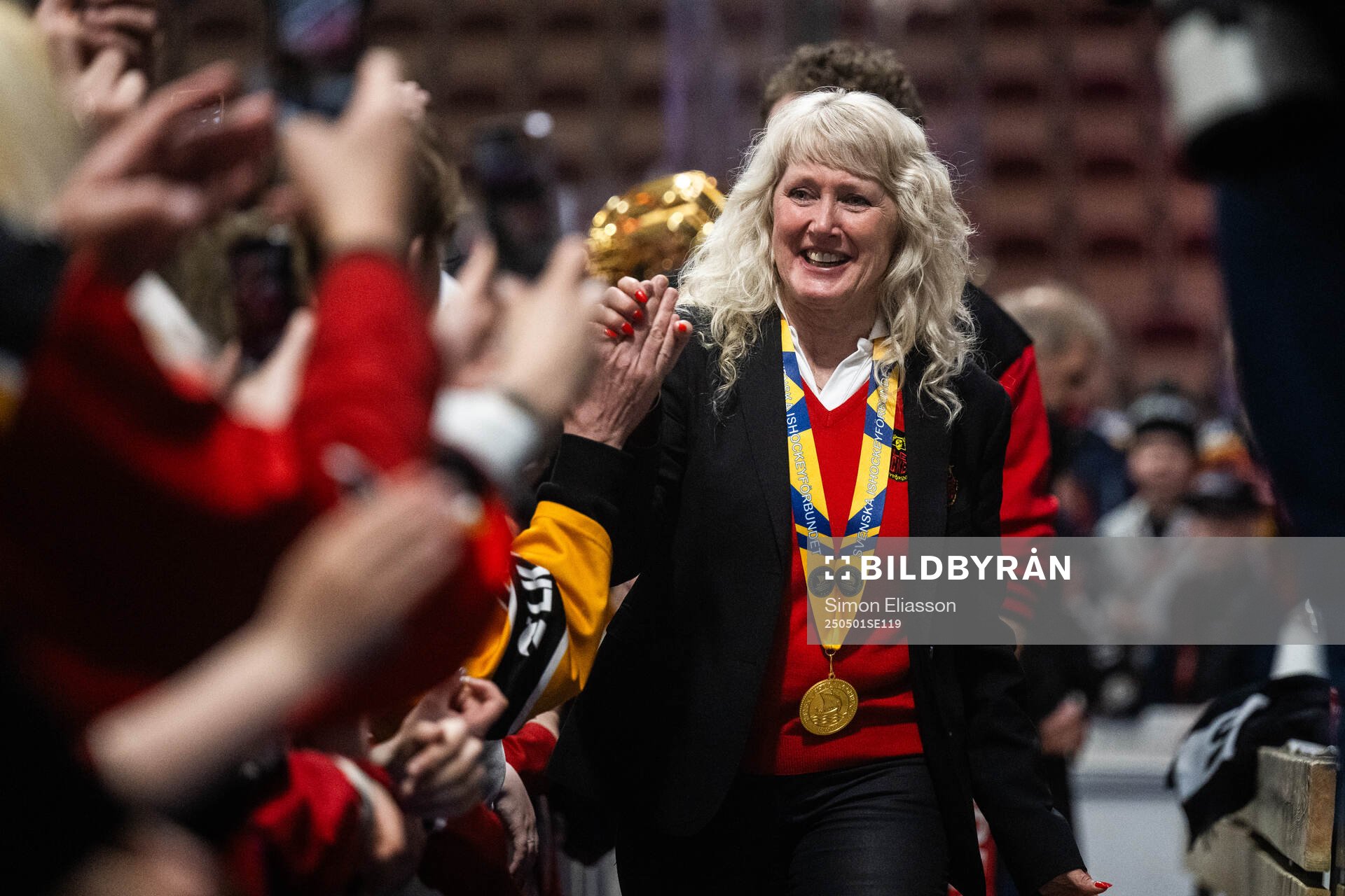 Ann-Christin Viklund, ordförande Luleå hockey
